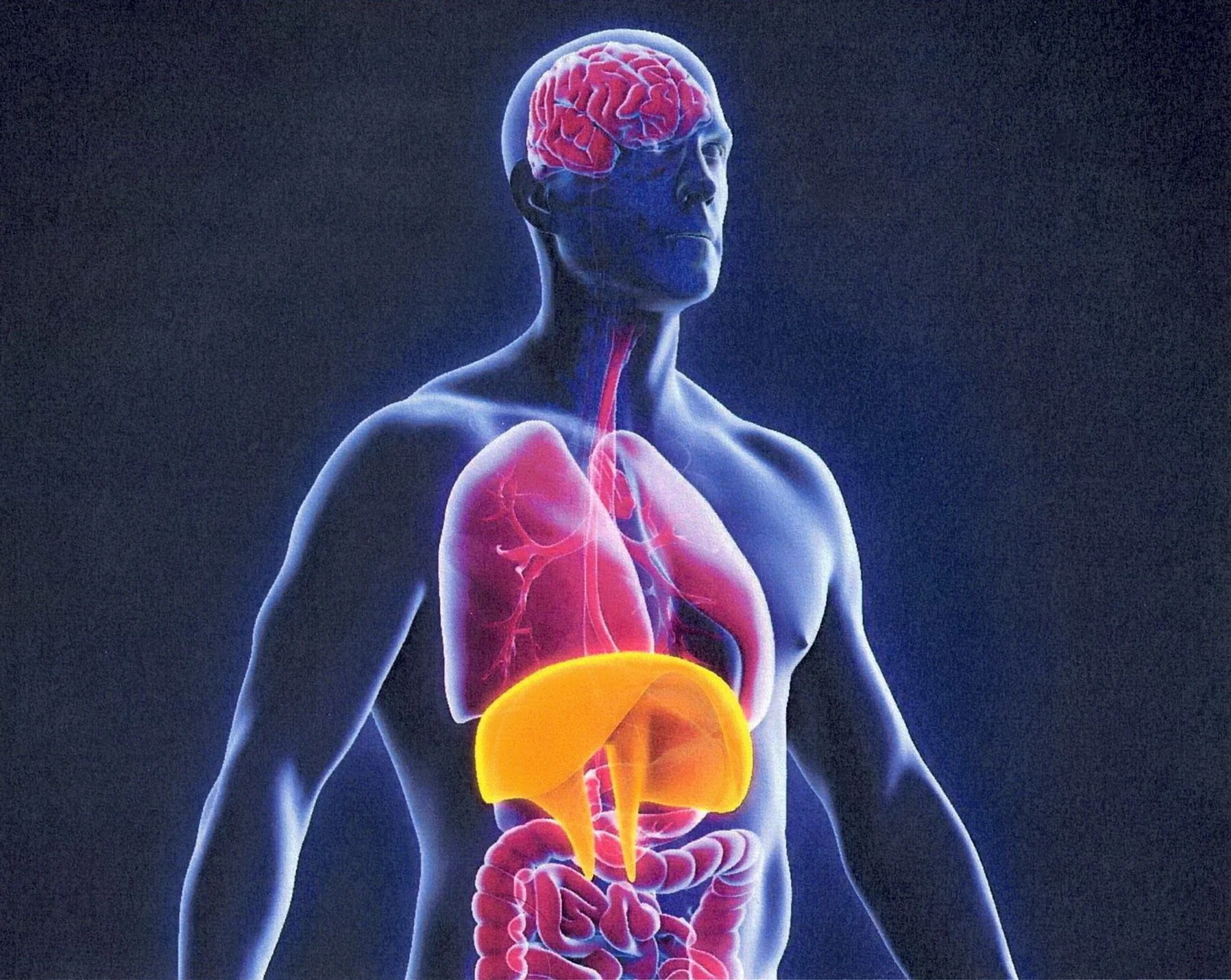 Bildquelle: Bodyfeet.ch