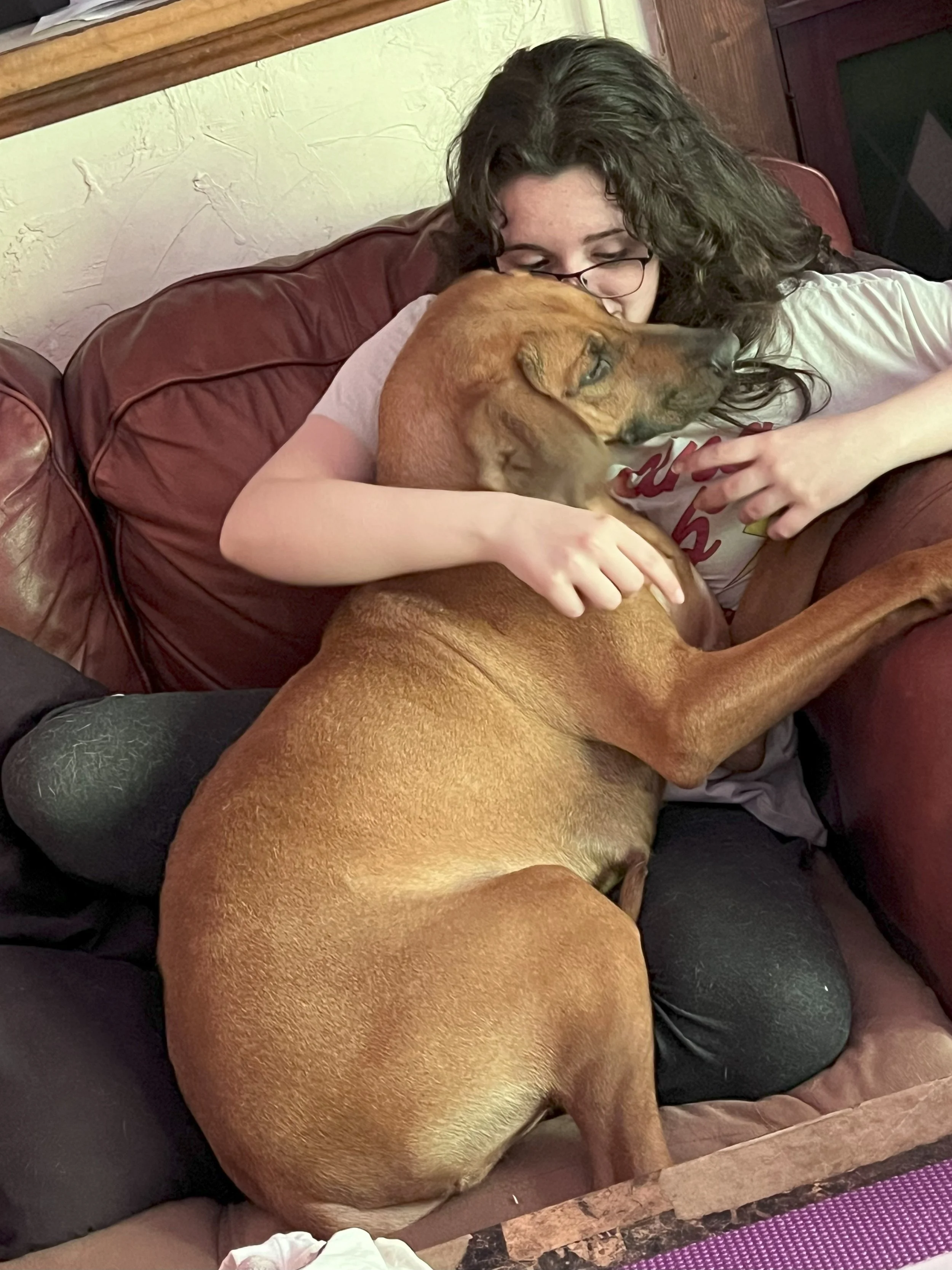 Tayla and Stormi right before puppies came