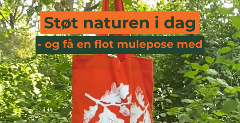 Sådan fik Naturfonden tusind faste støtter på én uge