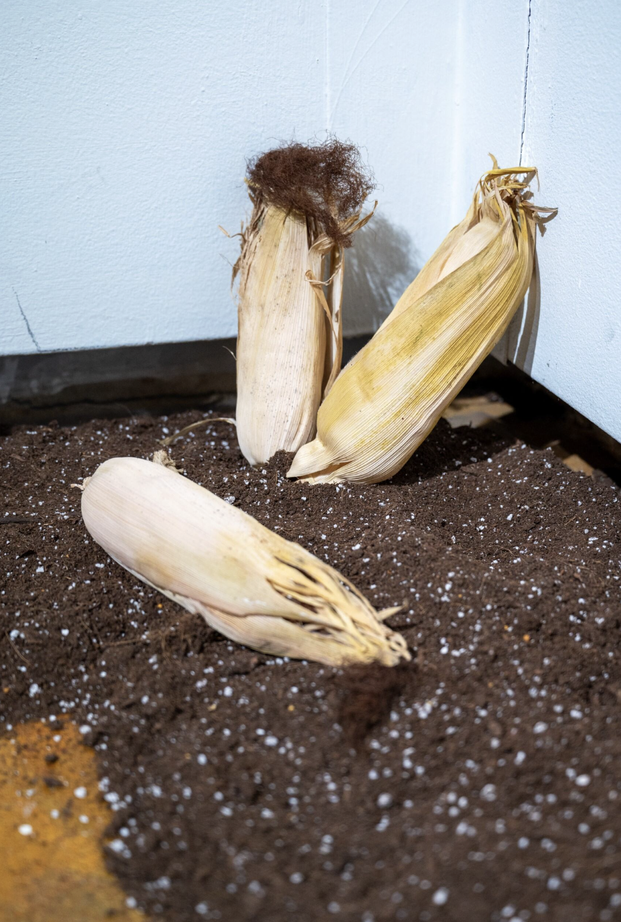 Screenshot 2026-04-01 at 7.24.11 PM.png