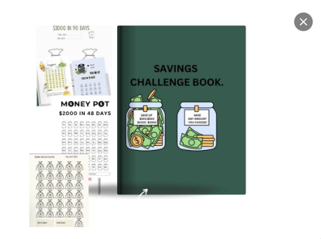Savings Challenge Book