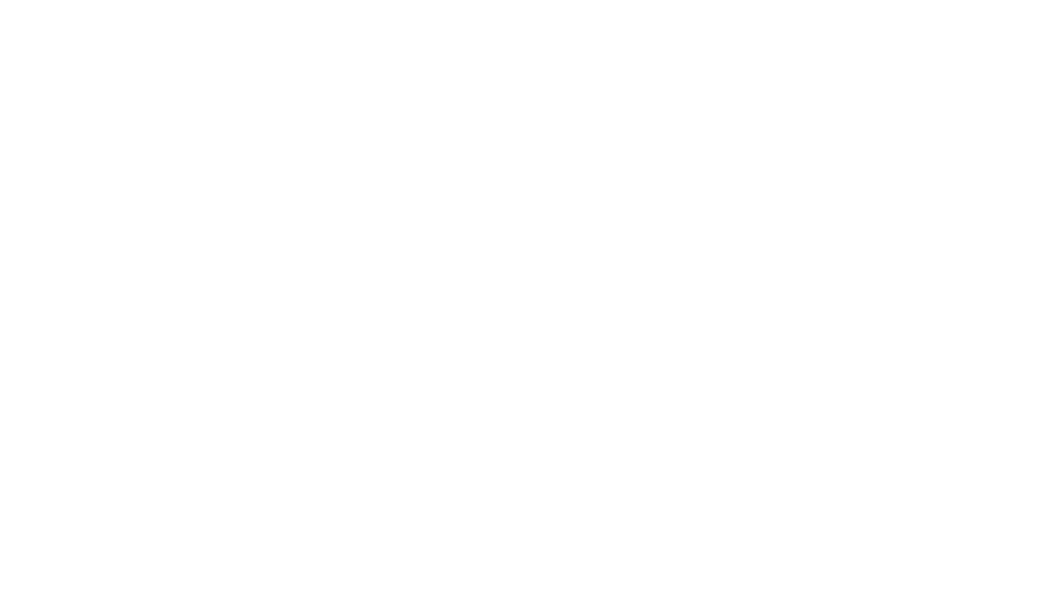 The HAVN Agency