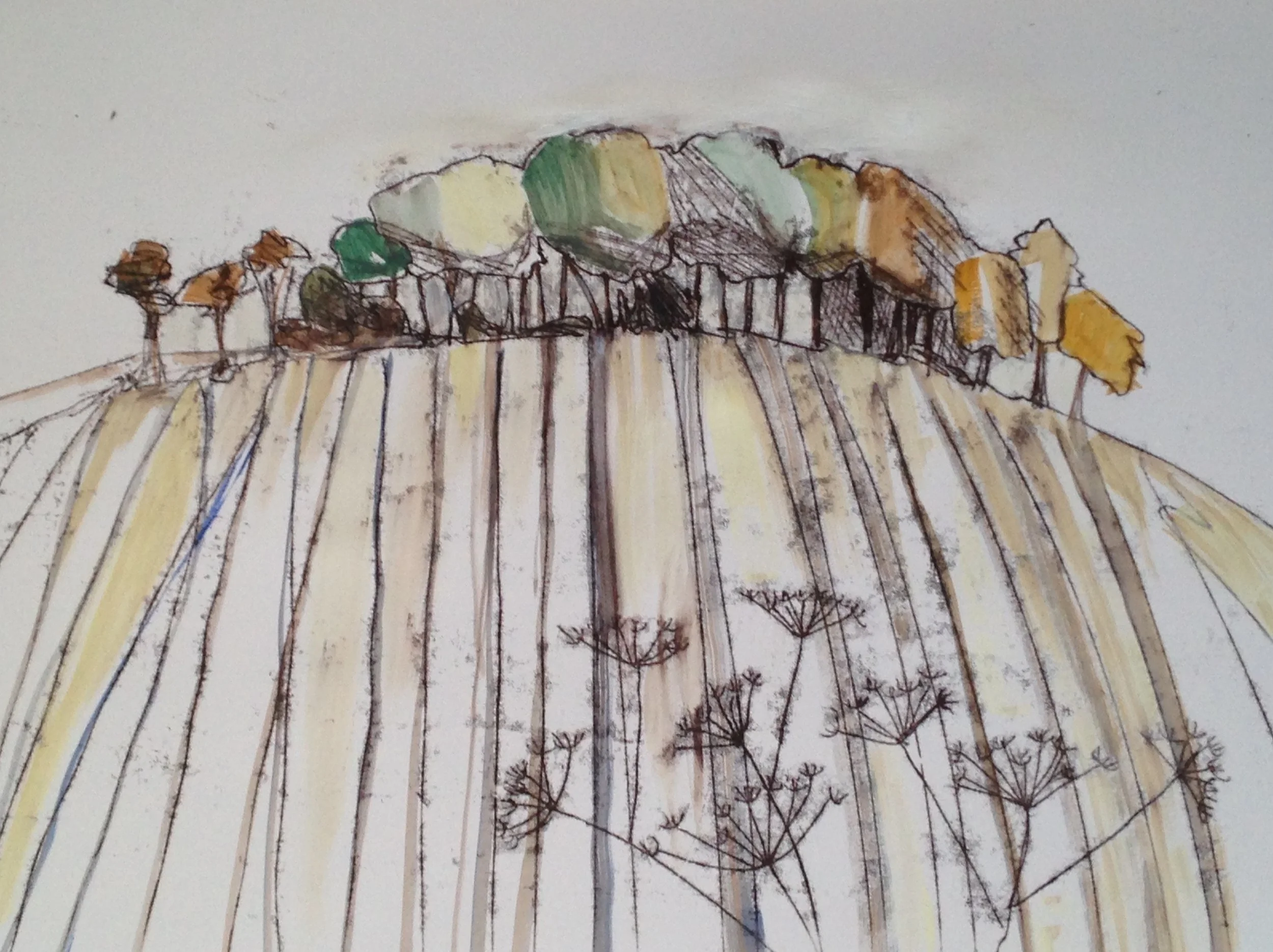 hillside , autumn  45 x 33 cms.jpg