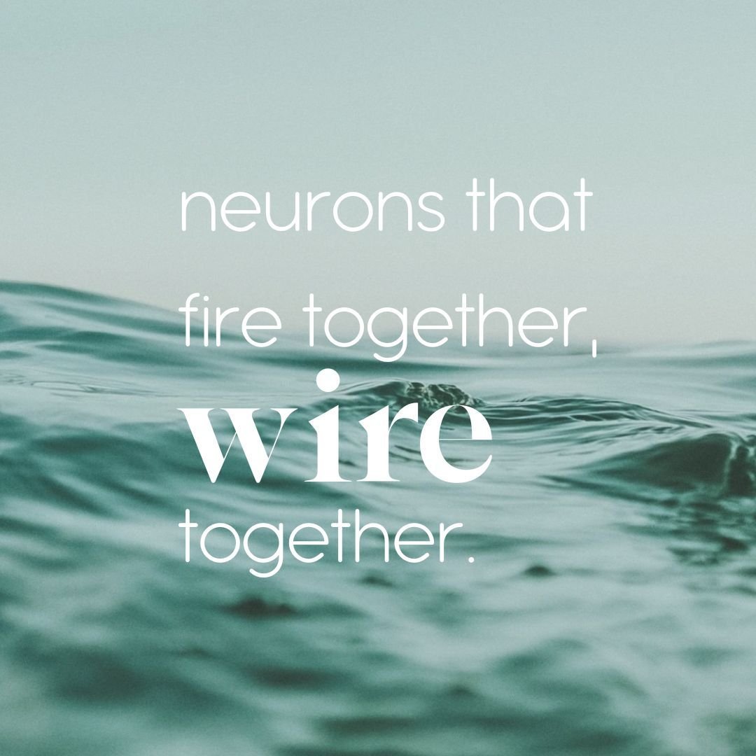 The phrase &quot;neurons that fire together, wire together&quot; refers to the concept of neuroplasticity, which is the brain's ability to reorganise itself by forming new neural connections throughout life. When neurons are repeatedly activated at t