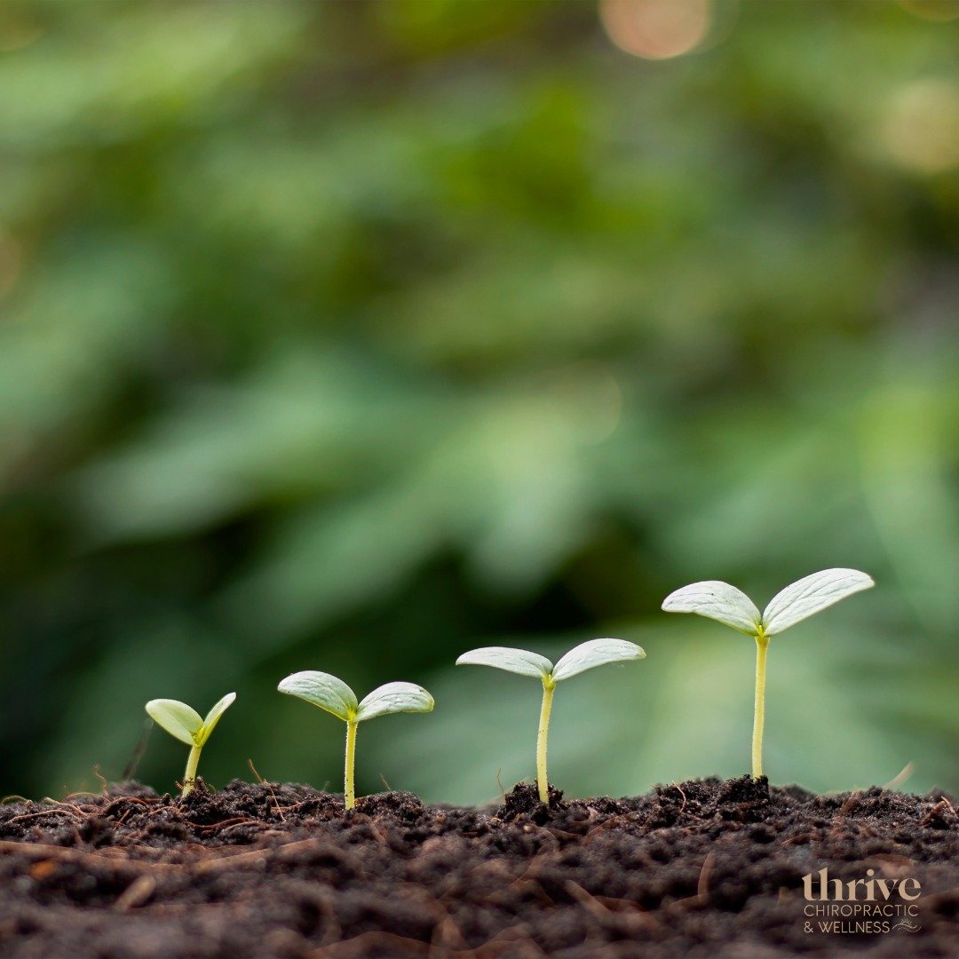 Gardening offers a myriad of benefits that extend beyond beautifying your surroundings. 🌱

Here are some reasons why getting outside and gardening can be incredibly beneficial: 

1. Physical Exercise: Gardening involves various physical activities s