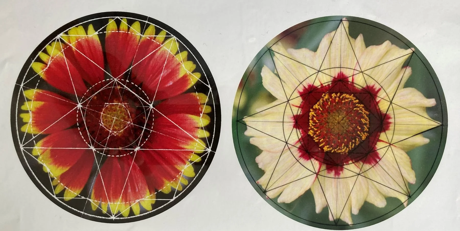 Film screening: The Geometry of Life │ A lecture by Keith Critchlow │ 21 March │ 20:00 - 22:00