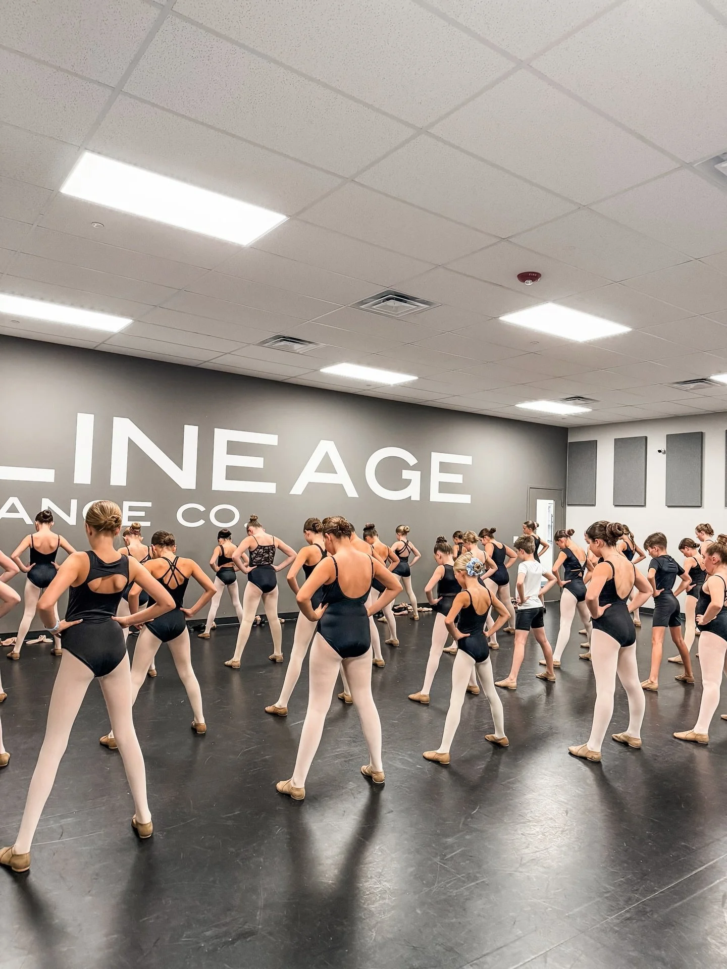 Night one of 2026-2026 Collective Team Program auditions was truly incredible. We are so proud of the effort, focus, and heart our dancers brought into the room. It takes courage to show up, push yourself, and grow, and last night was full of those m