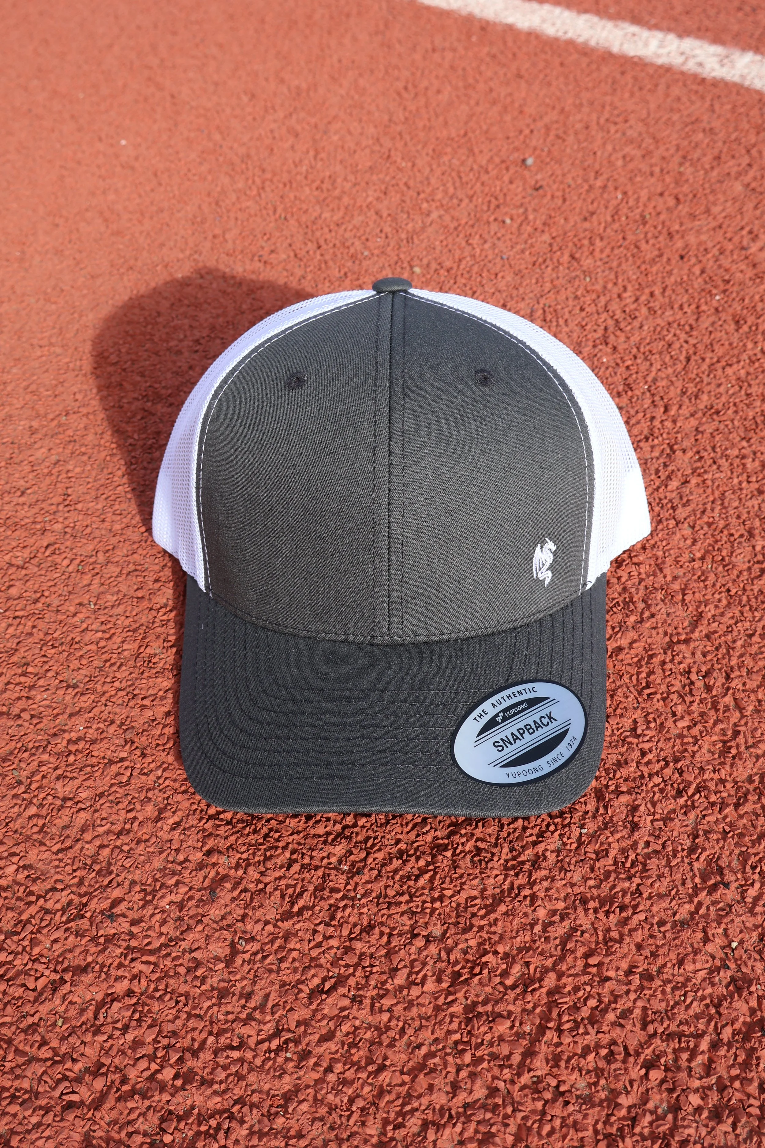 Dragon Coach Cap