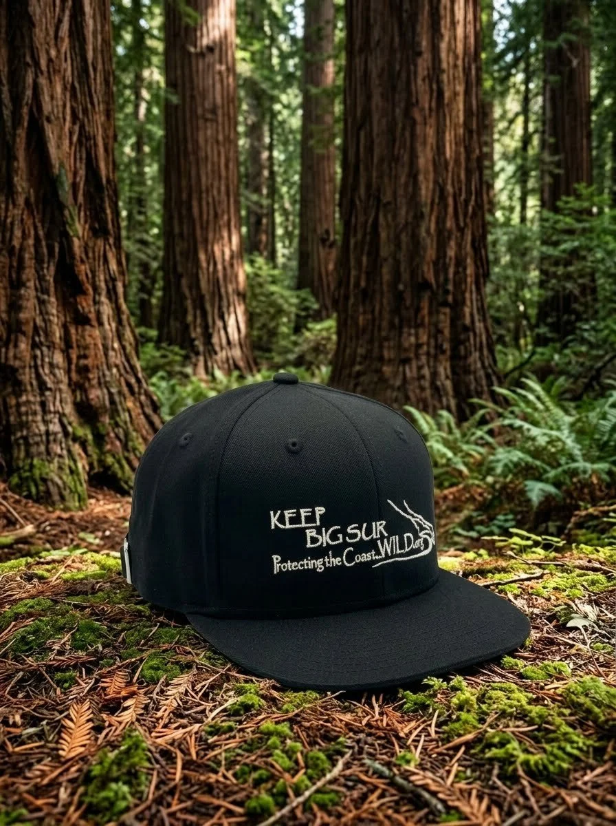 Keep Big Sur Wild Trucker Hat Black