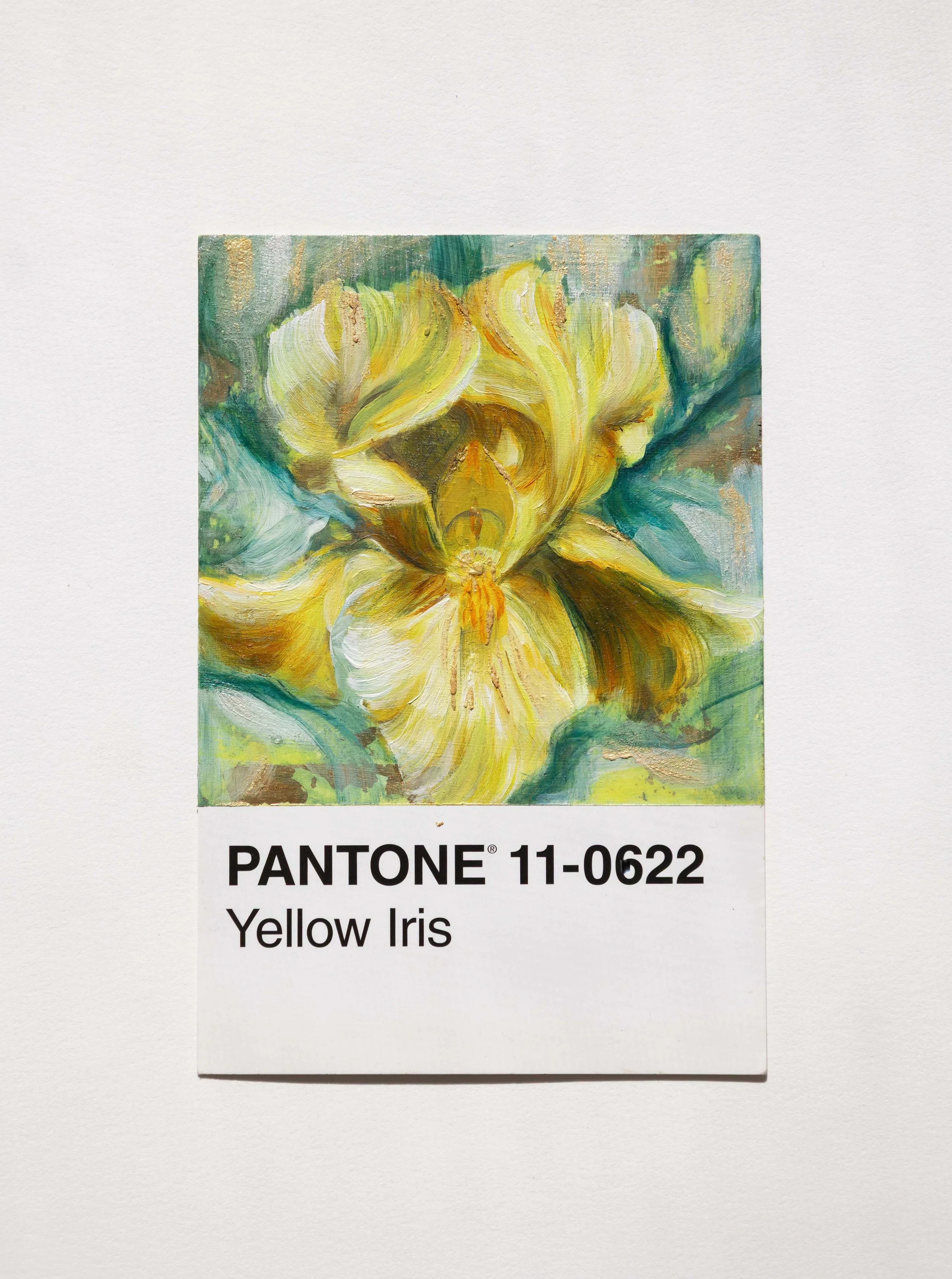 Yellow Iris- Psalm 36:9