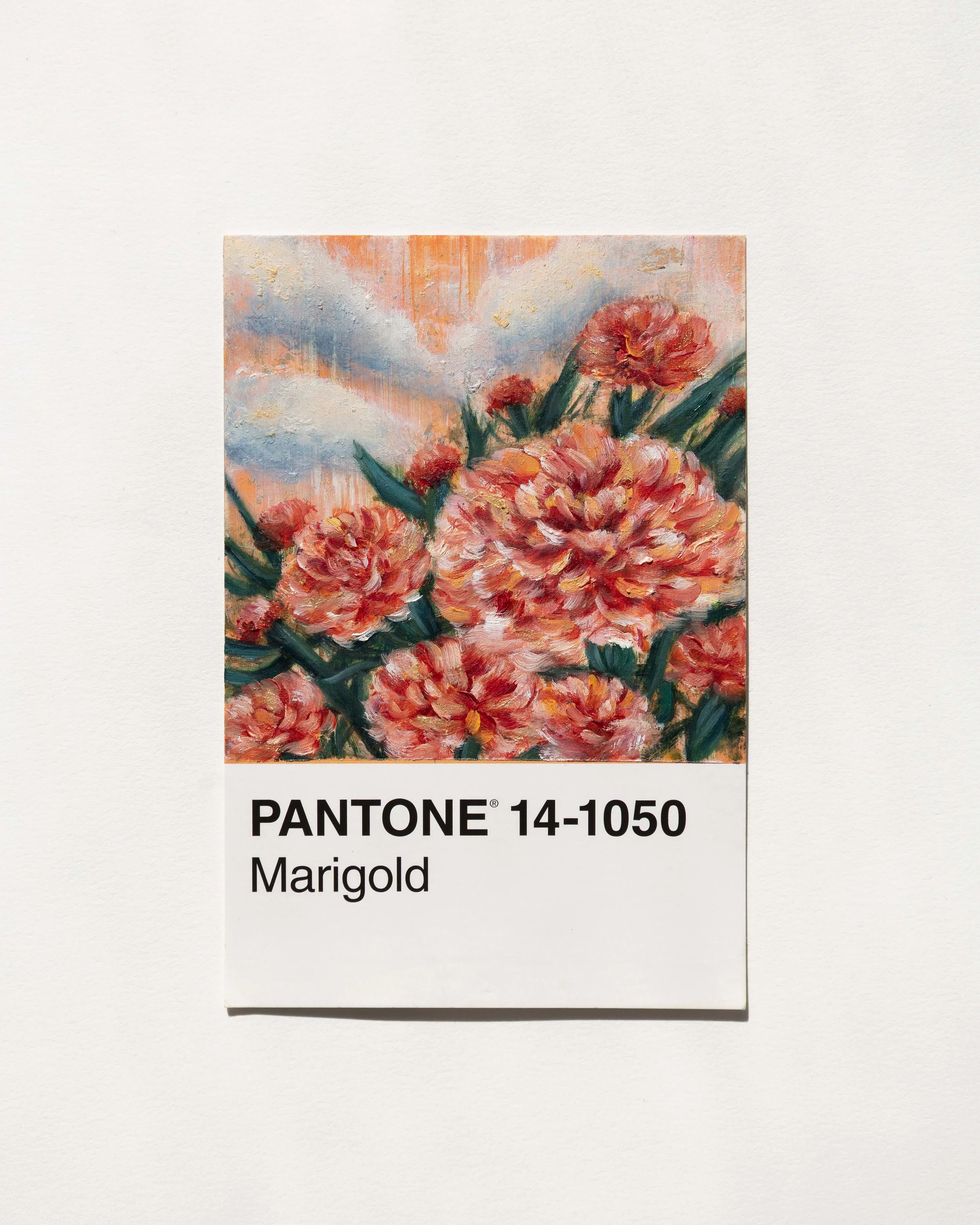 Marigold- Psalm 37:4