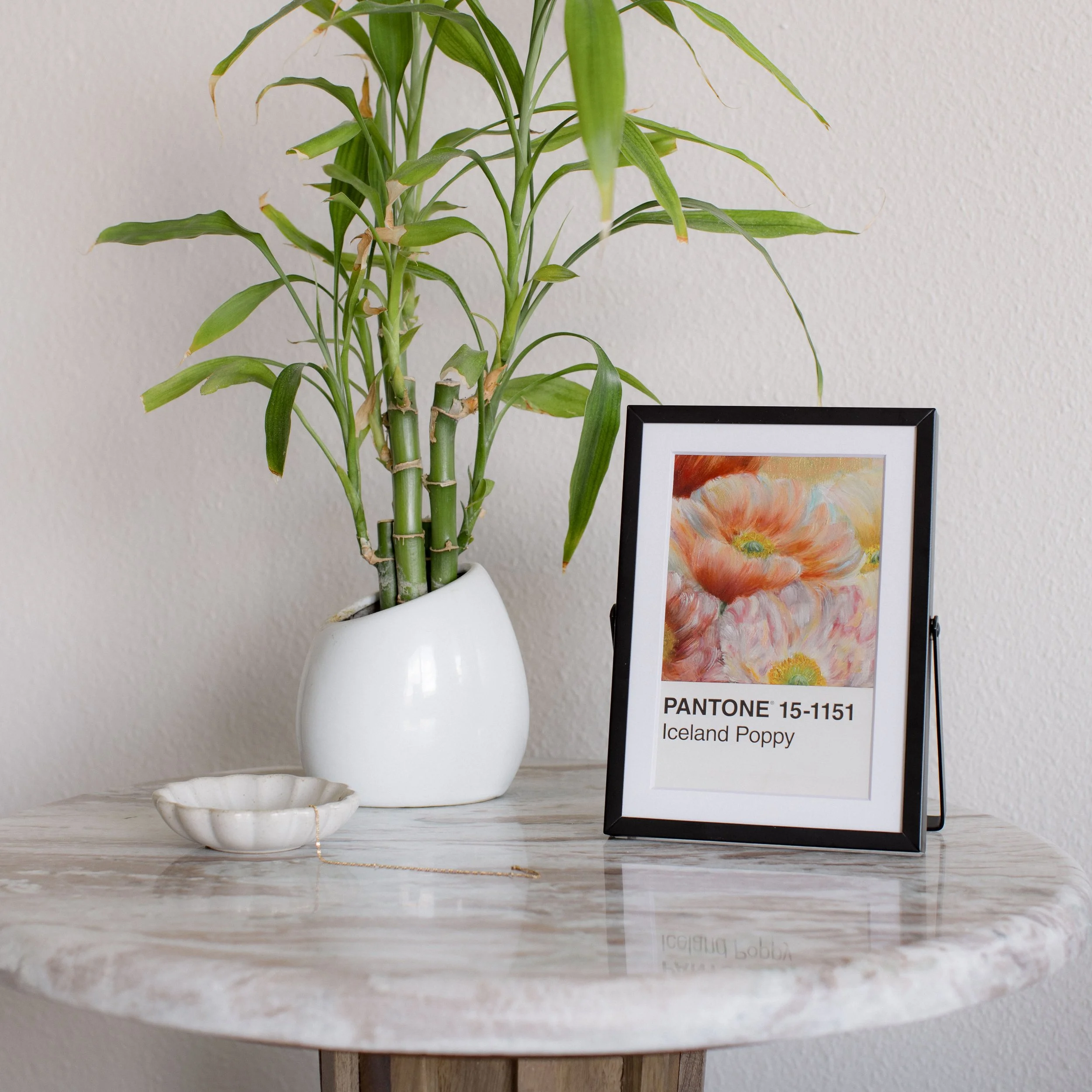 praiseful-messages-iceland-poppy-oils-originals-love-x-cross-studio-black-frame-lifestyle-front.jpg