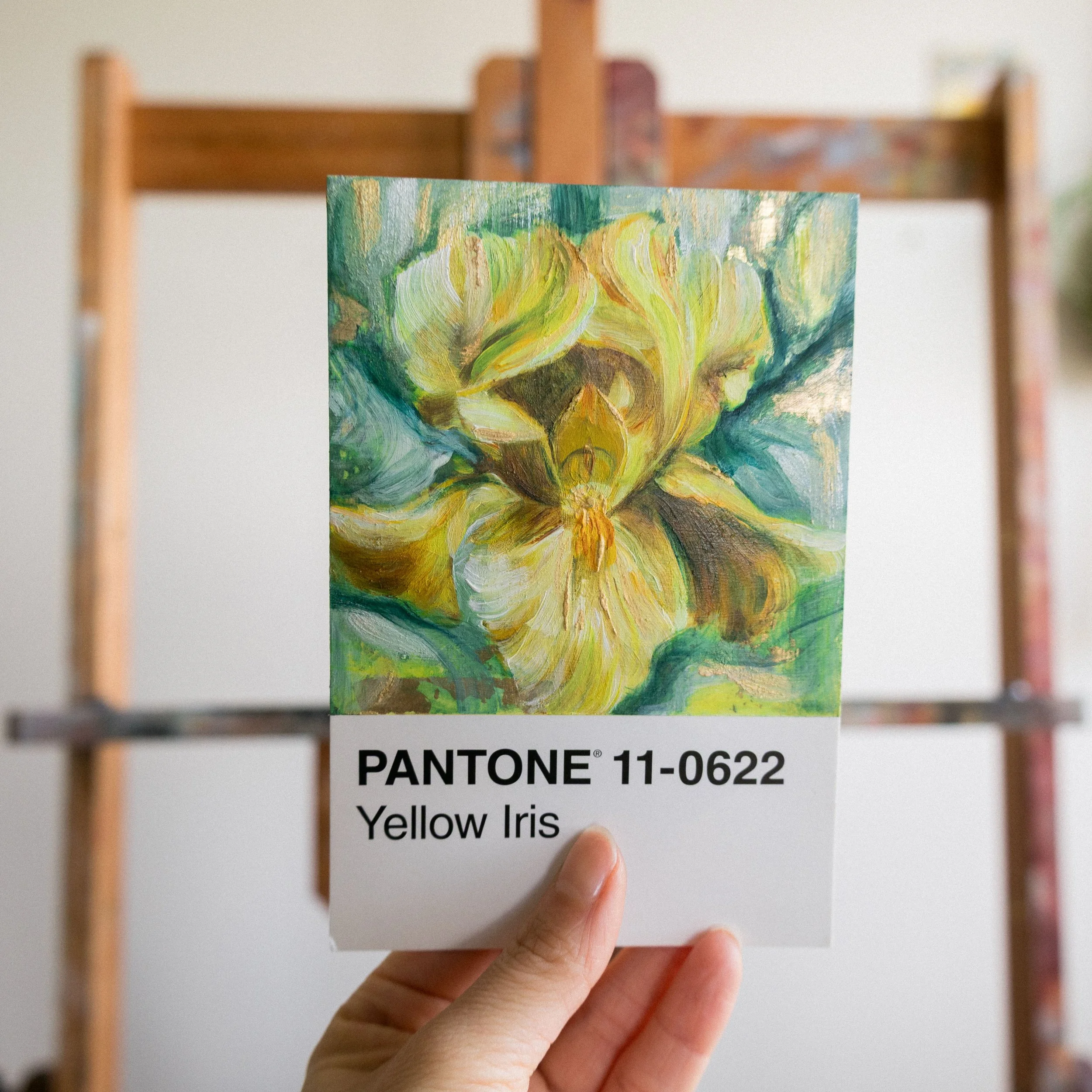 praiseful-messages-yellow-iris-oils-originals-love-x-cross-studio-lifestyle.jpg