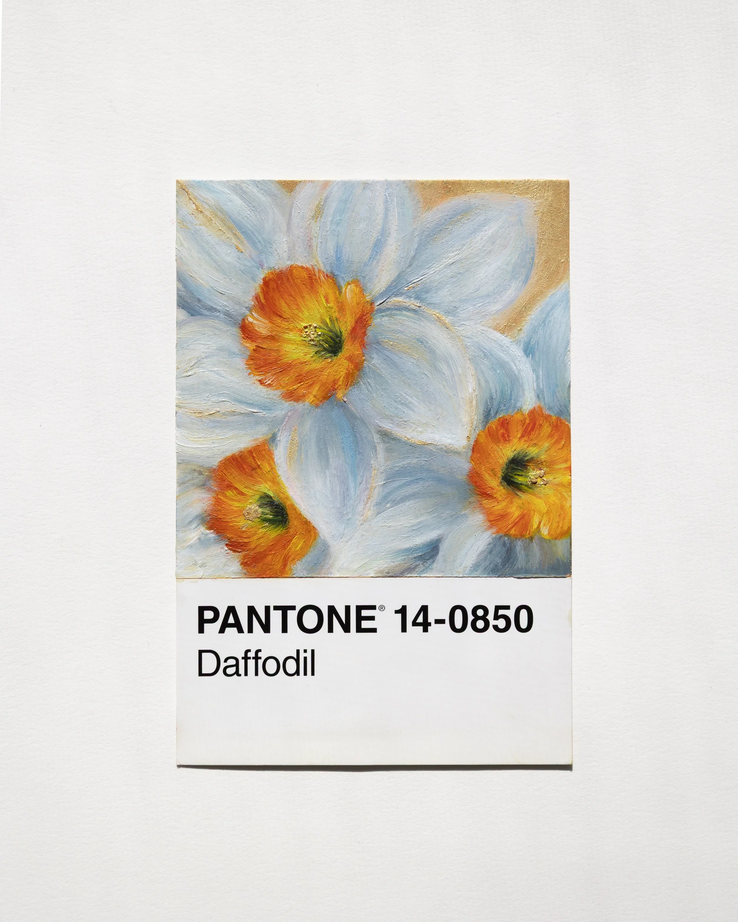 Daffodil- Psalm 63:7