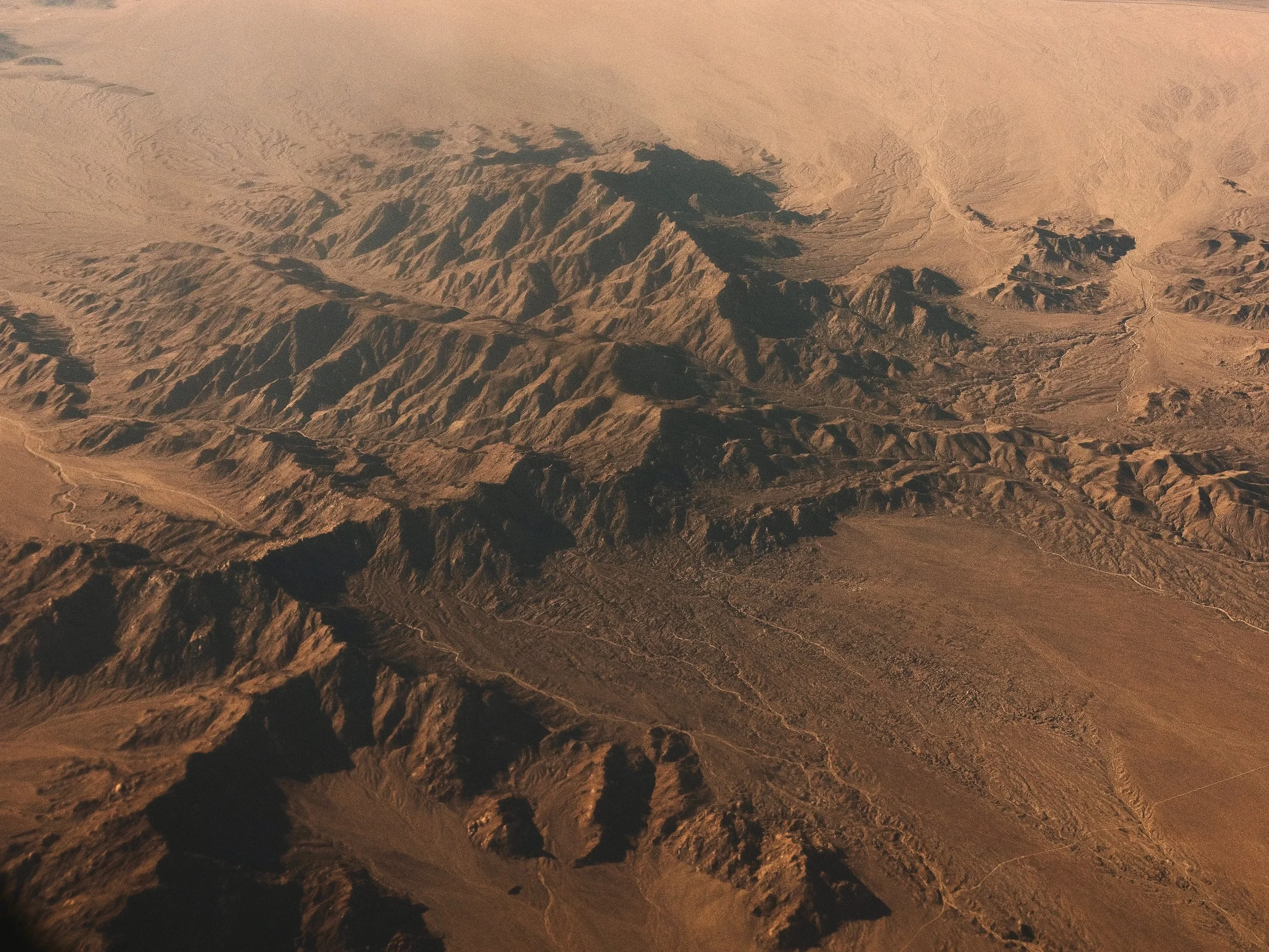 _DSF8393.jpg