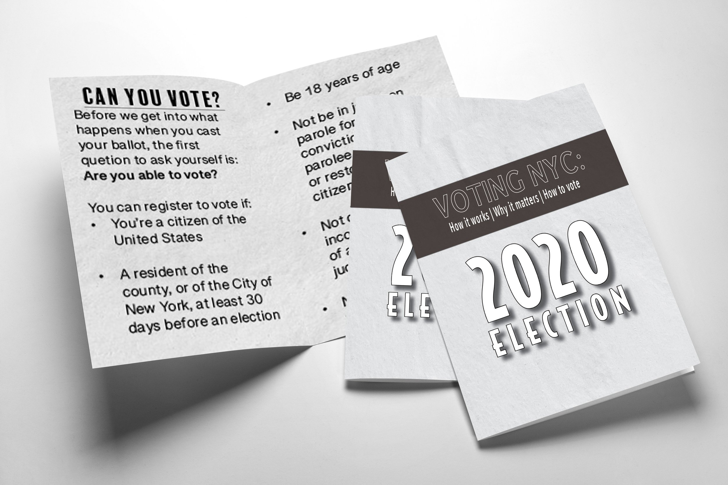 2020 Voter Registration Zine, Published by Vital Information.