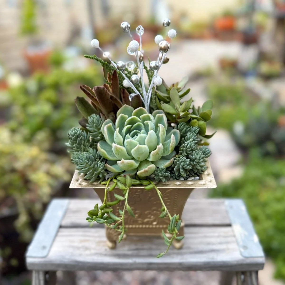 Succulent Gold Metal Square