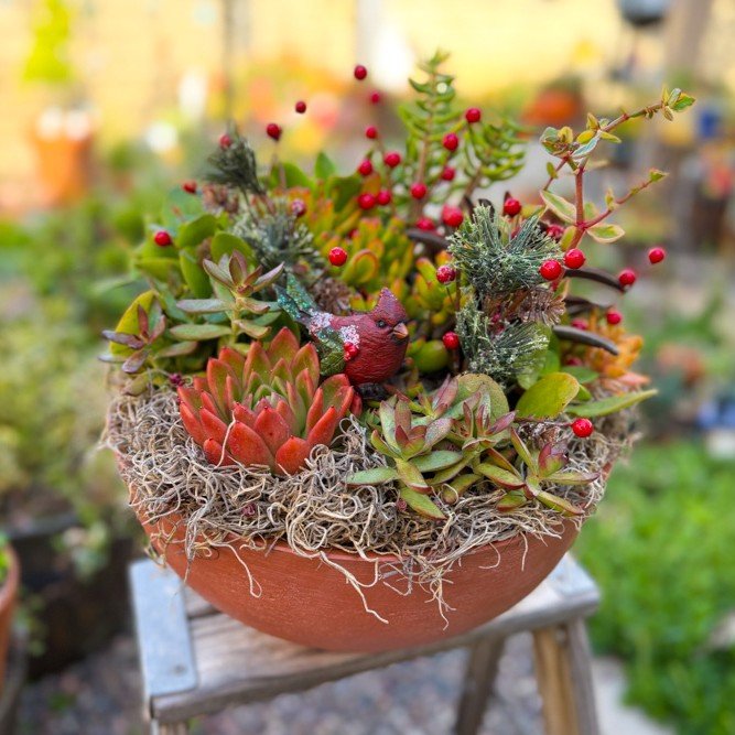 Holiday Large Terracotta Bowl
