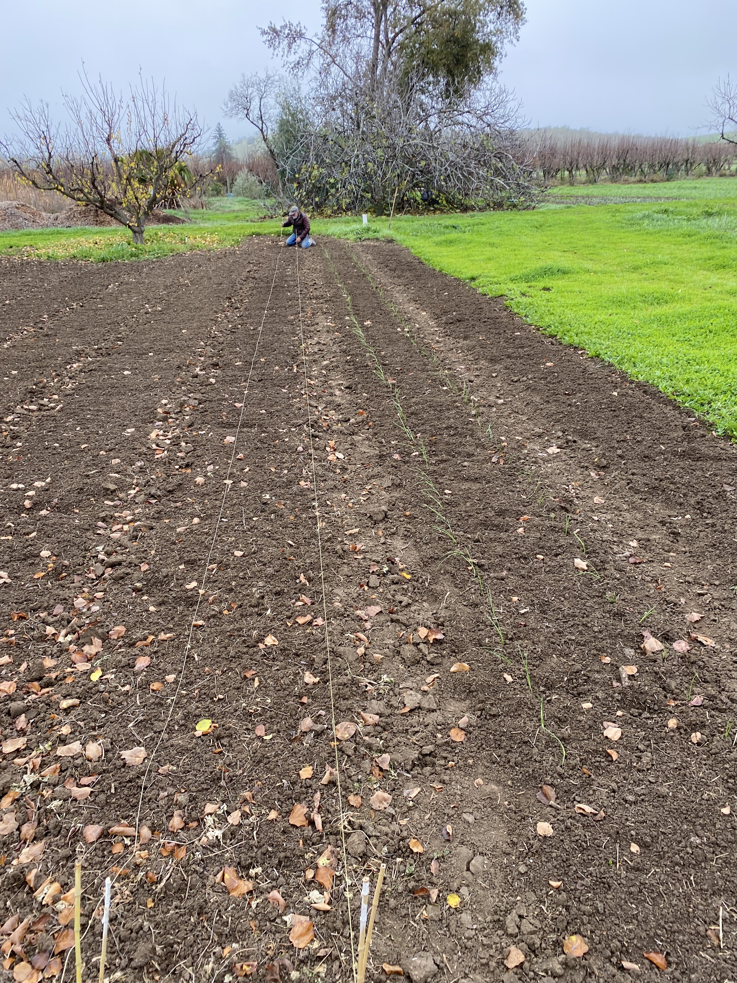 Getting ready to start farming
