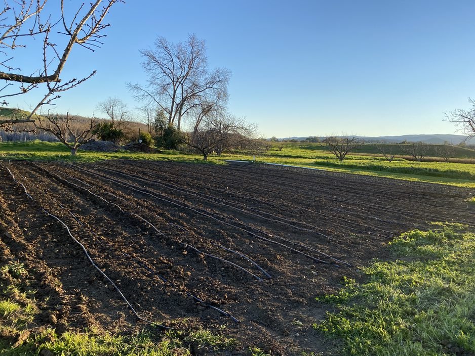 Seeding in the field!