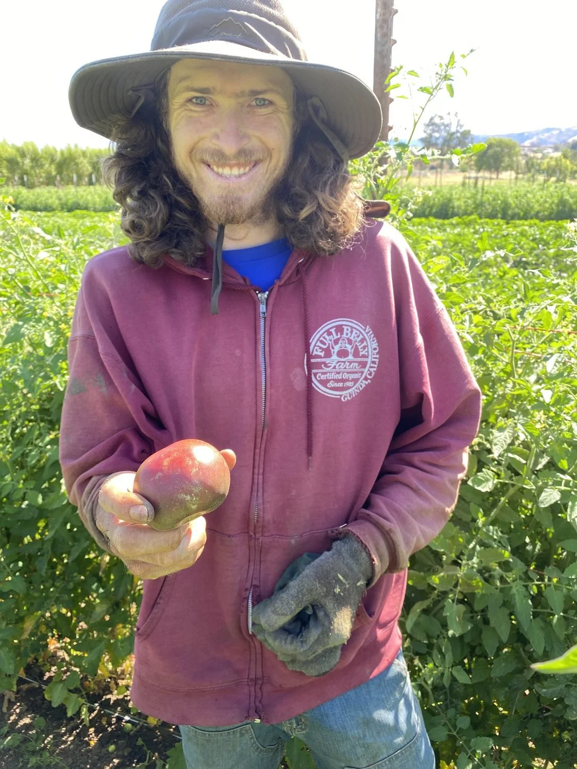 Peppers, Eggplant, Cucumbers and last week of lettuce
