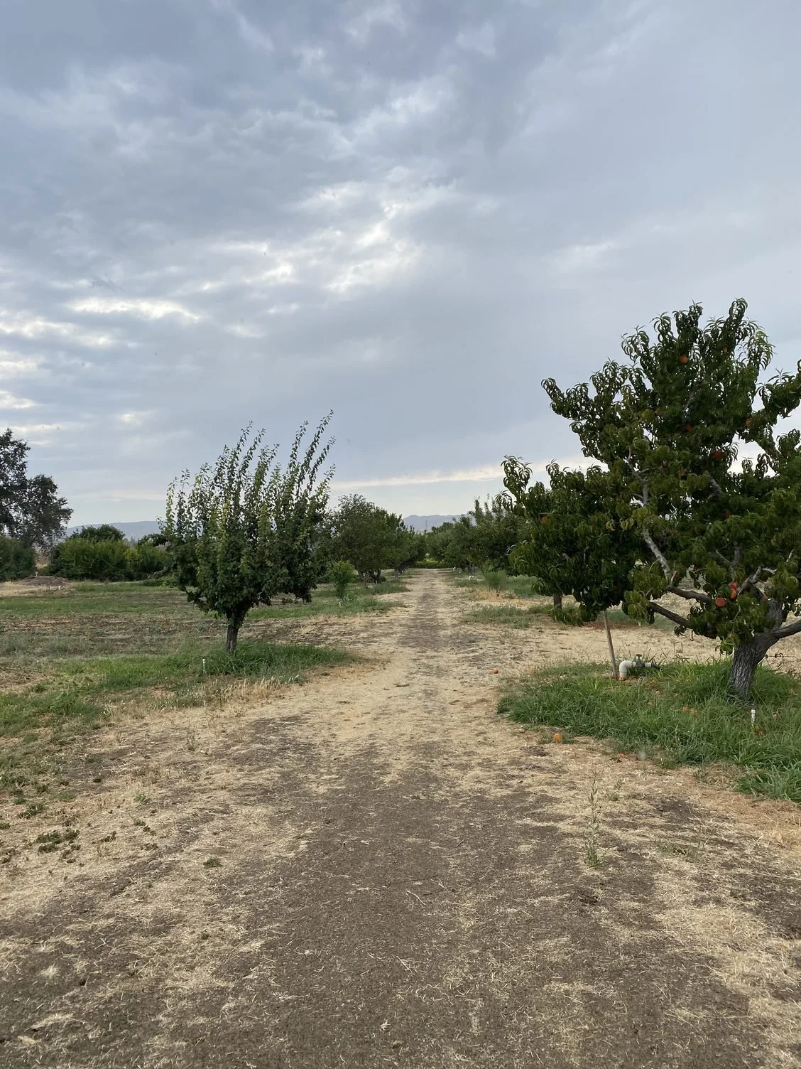 A Weird Weather Week