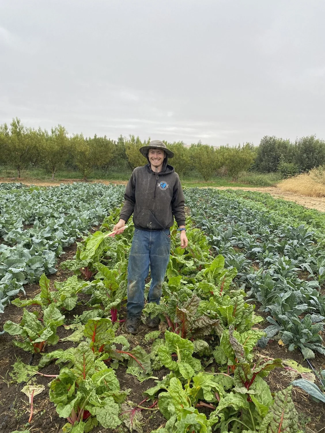 Enjoying the rain &amp; fall crops