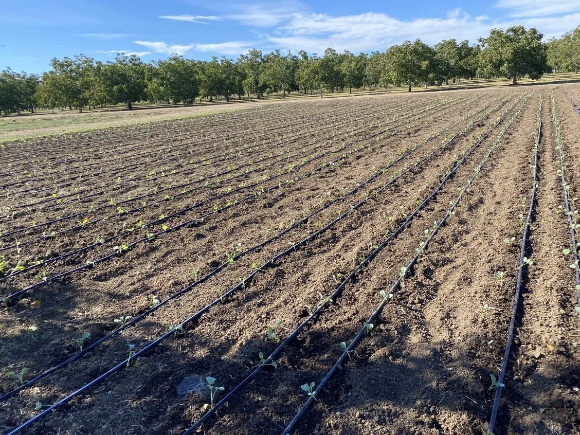 Busy September on the farm