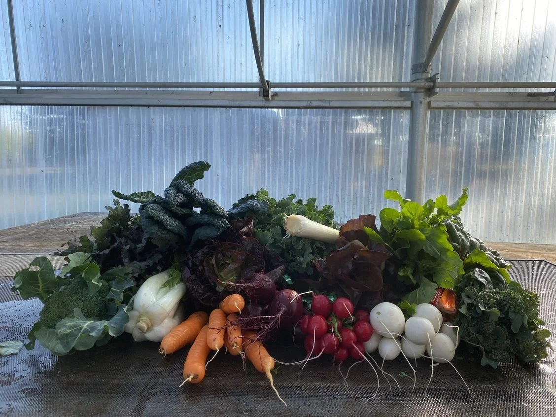 Last Veggies of the Year
