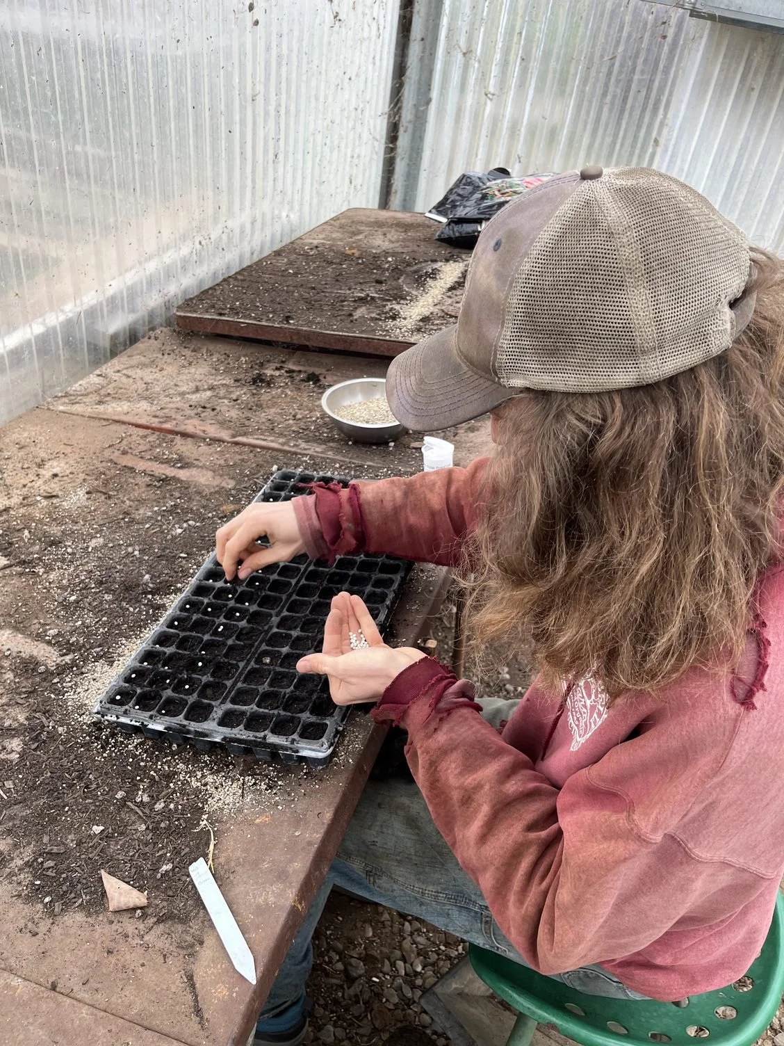 The First Seeds Of The New Year!