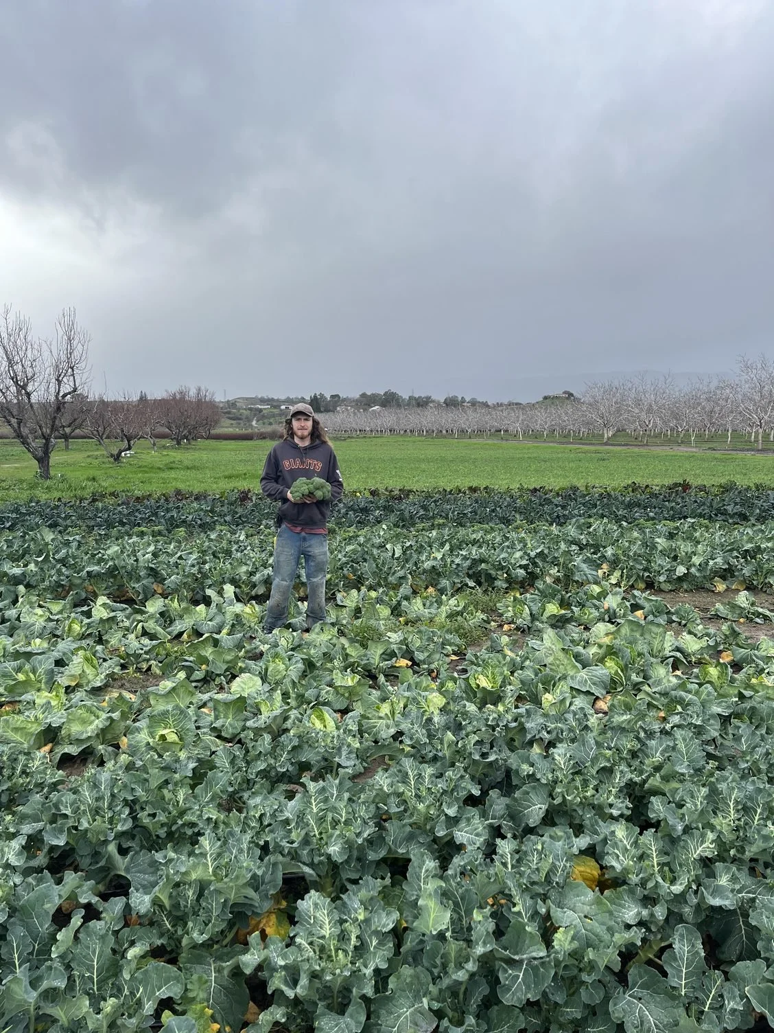 Rain, rain and some more rain!