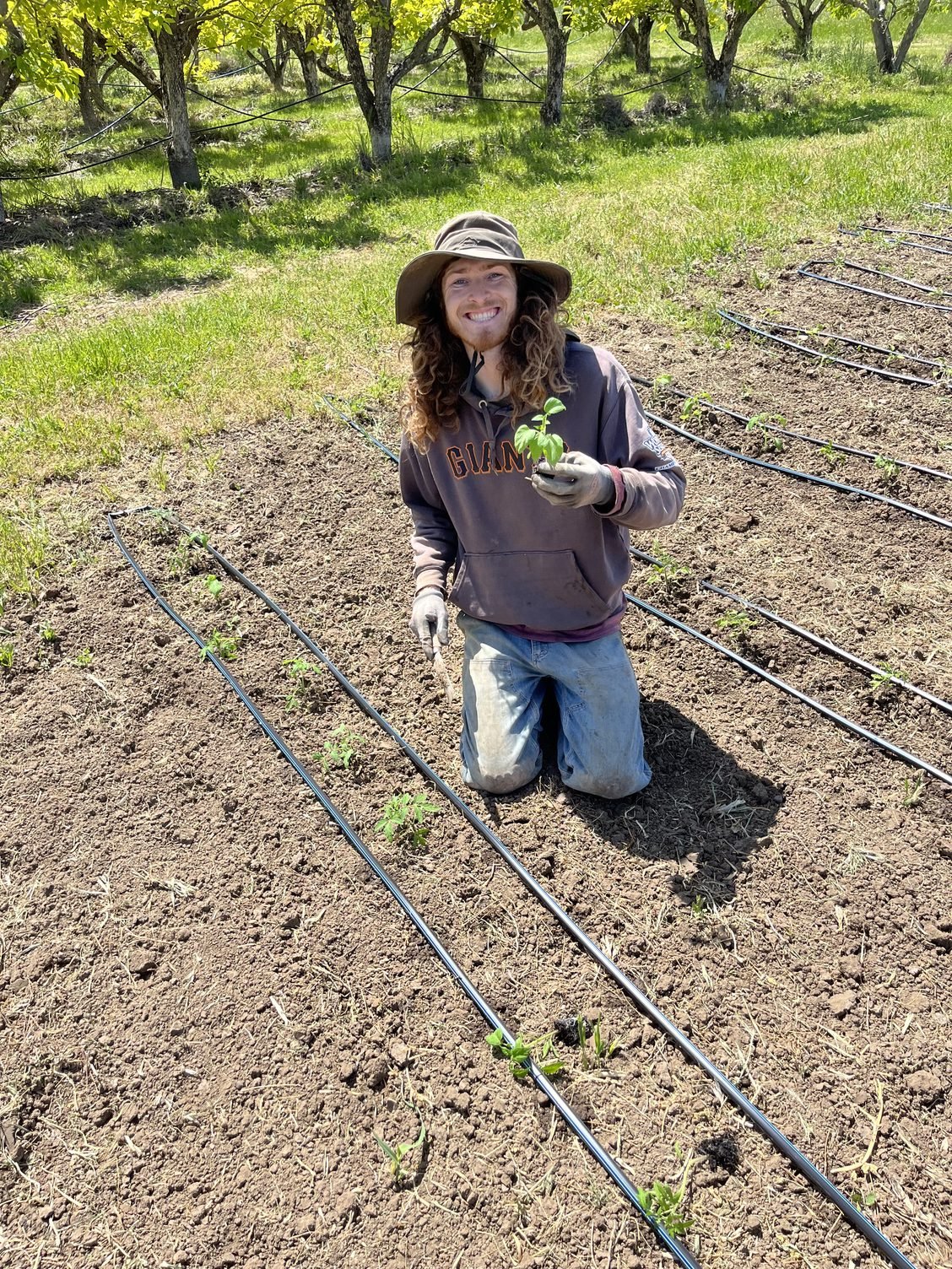 Planting, planting and more planting