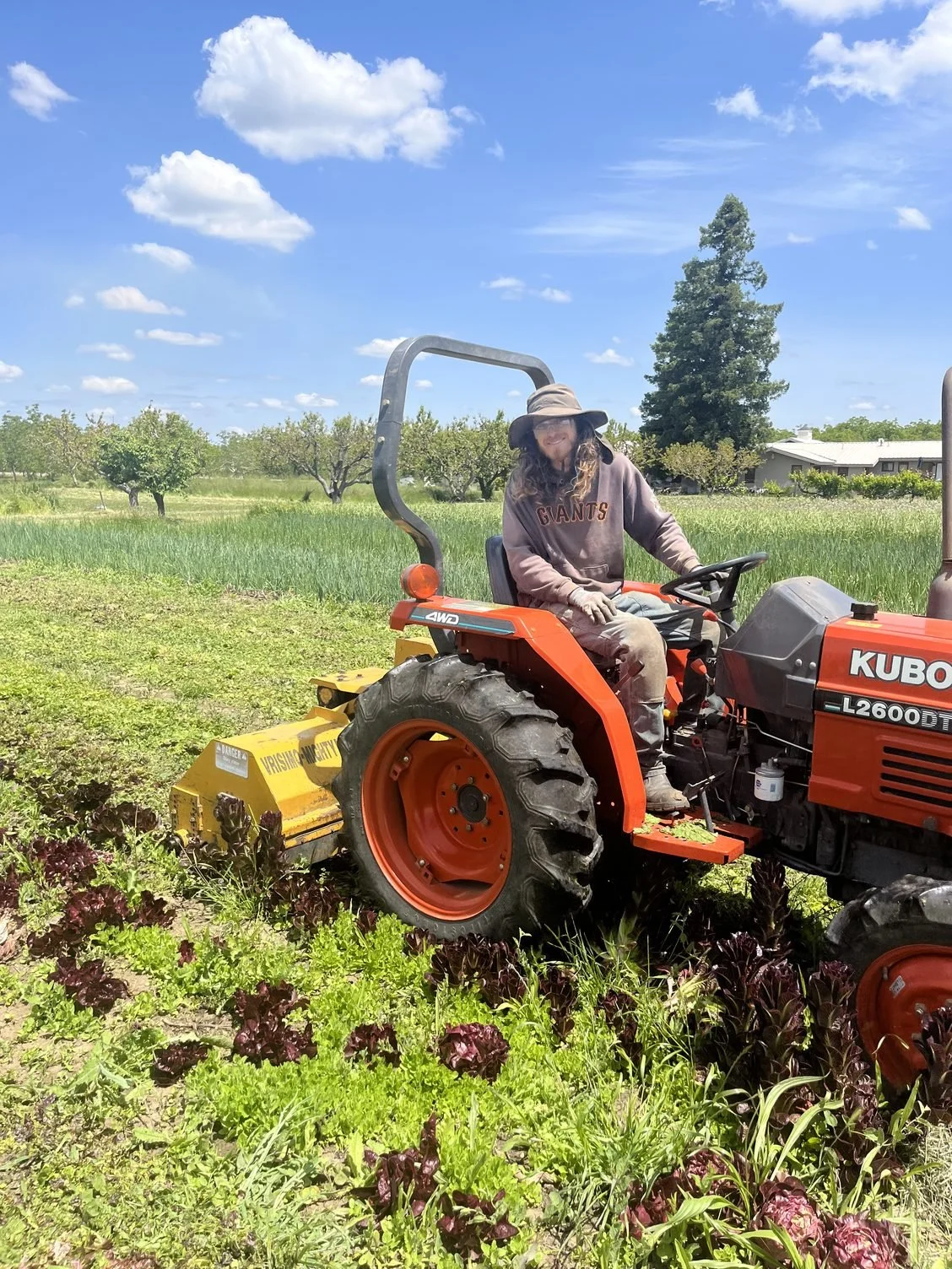 Mowing almost 1/4 of the farm