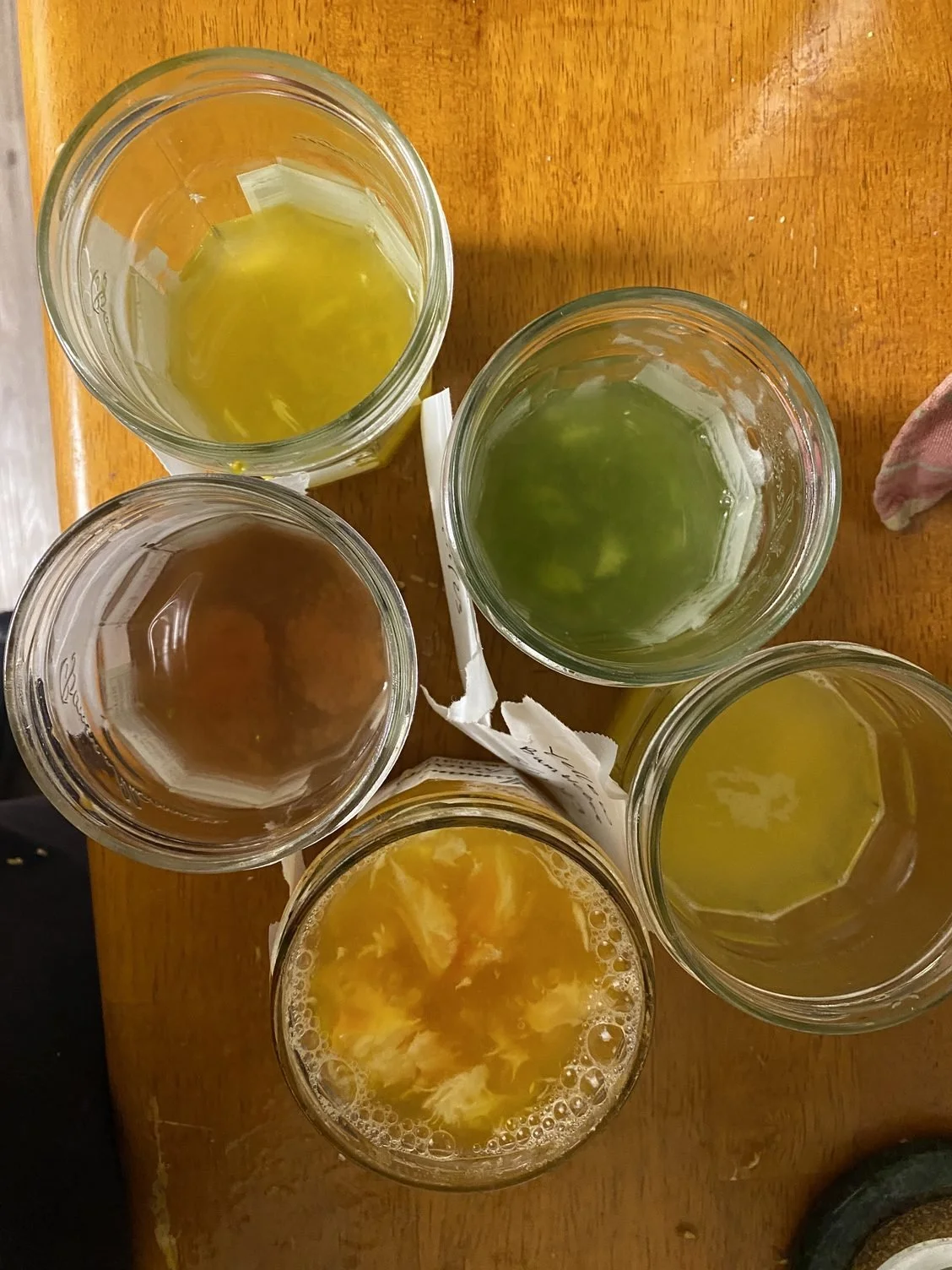 Saving Tomato Seed for 2024