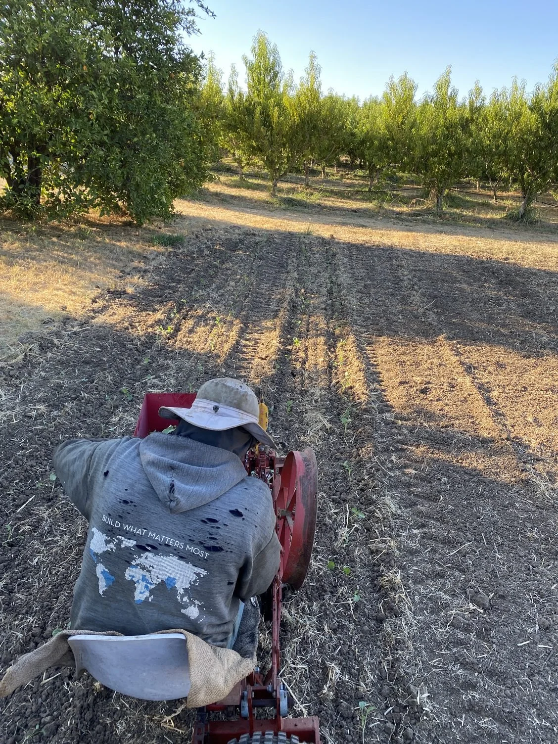 Planting Fall Crops in What Feels Like Fall Weather
