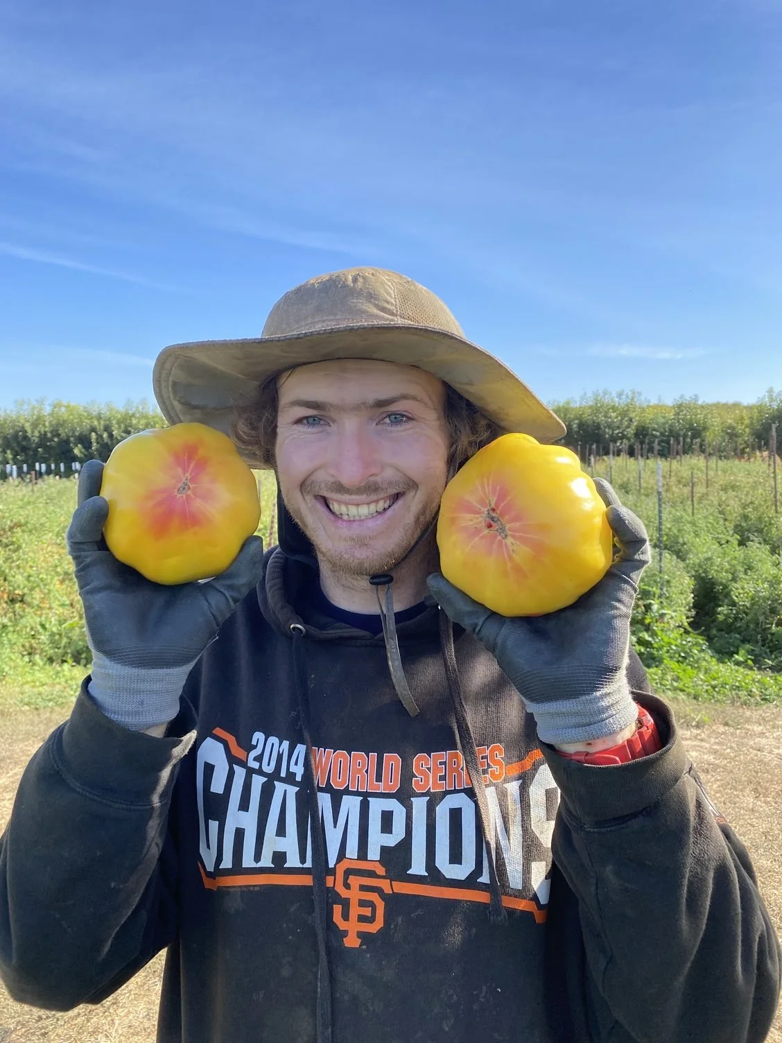 A new flush of tomatoes and changing weather