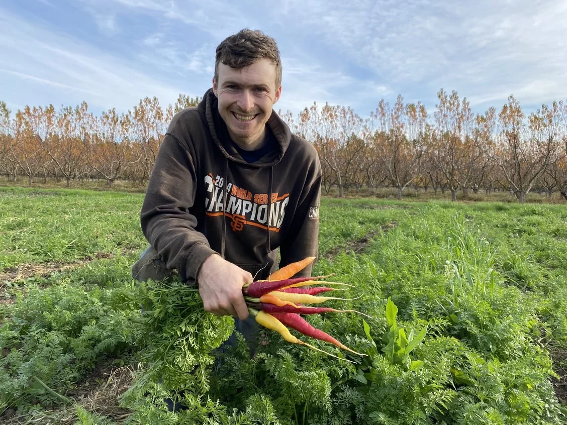 Rainbow carrots and weeding the farm