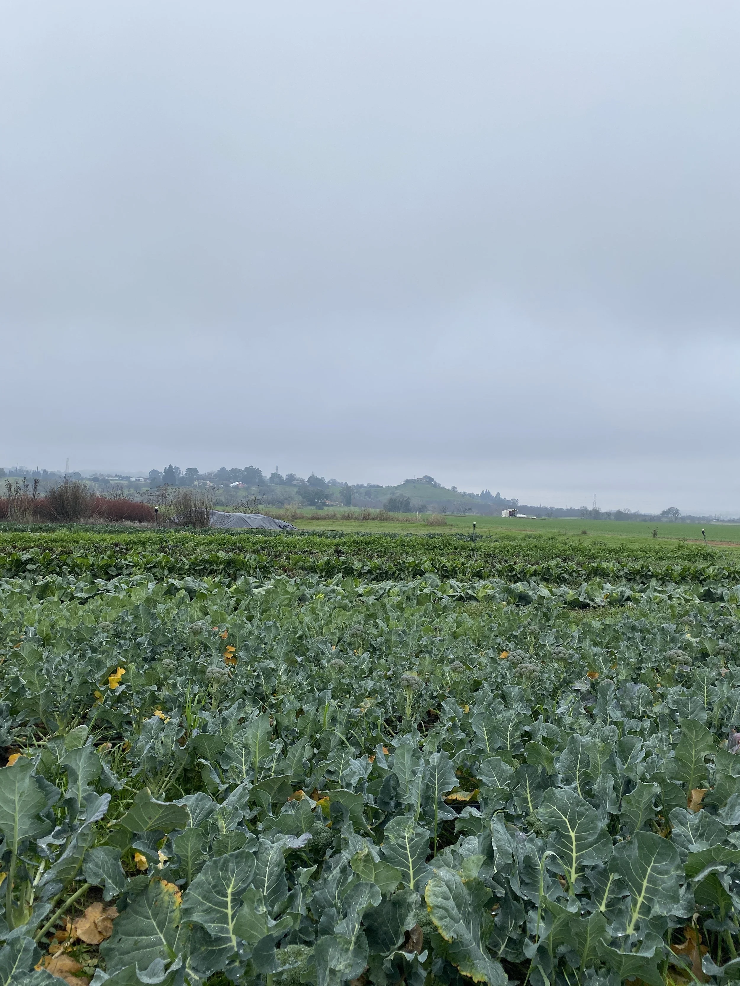 The best way to start 2024 on the farm