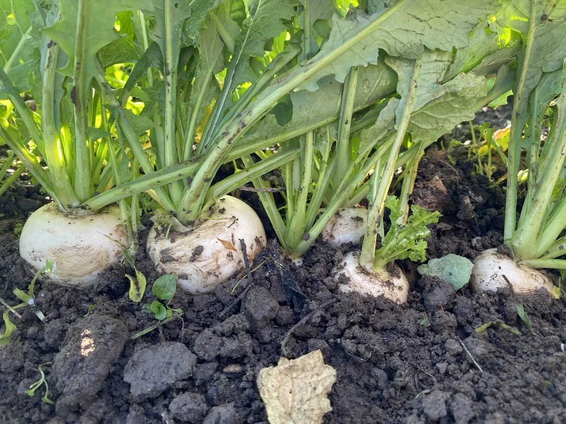 A much different start to this year than 2023