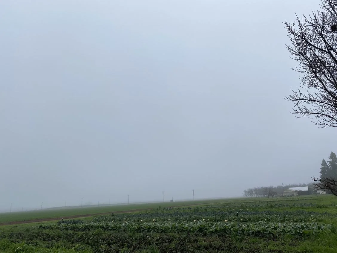Tractor work before the rain and fog