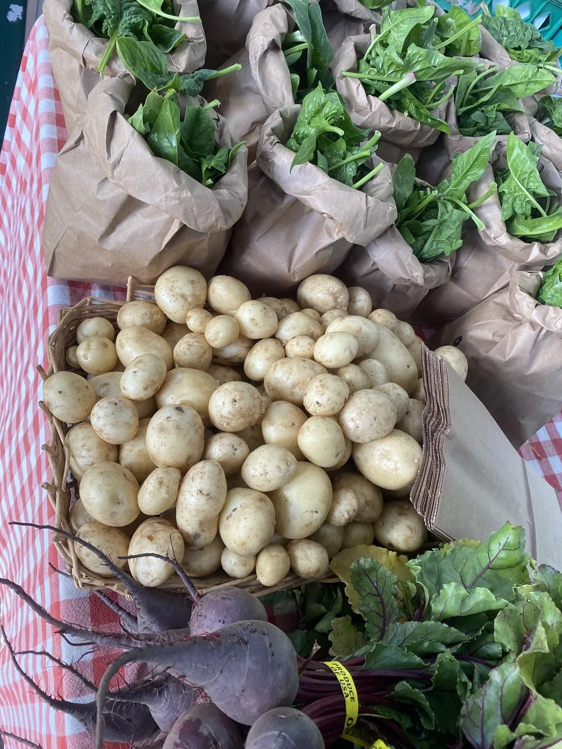 New Potatoes &amp; the first Basil of 2024