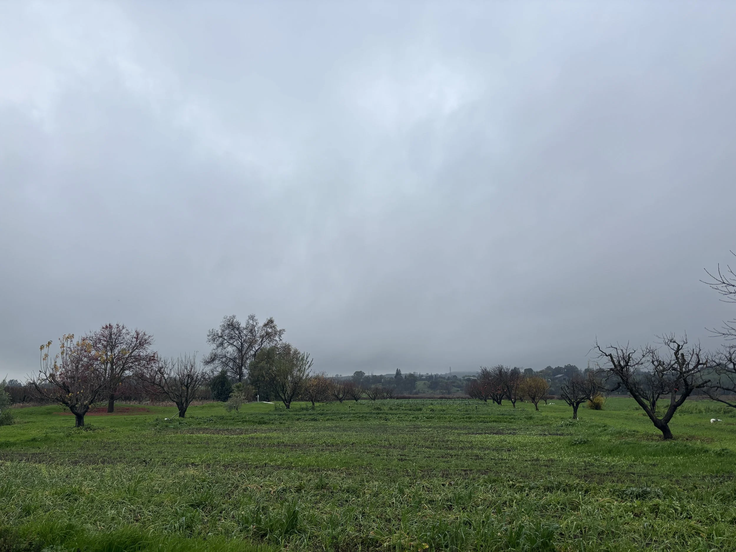 Lighter rain than forecasted so far