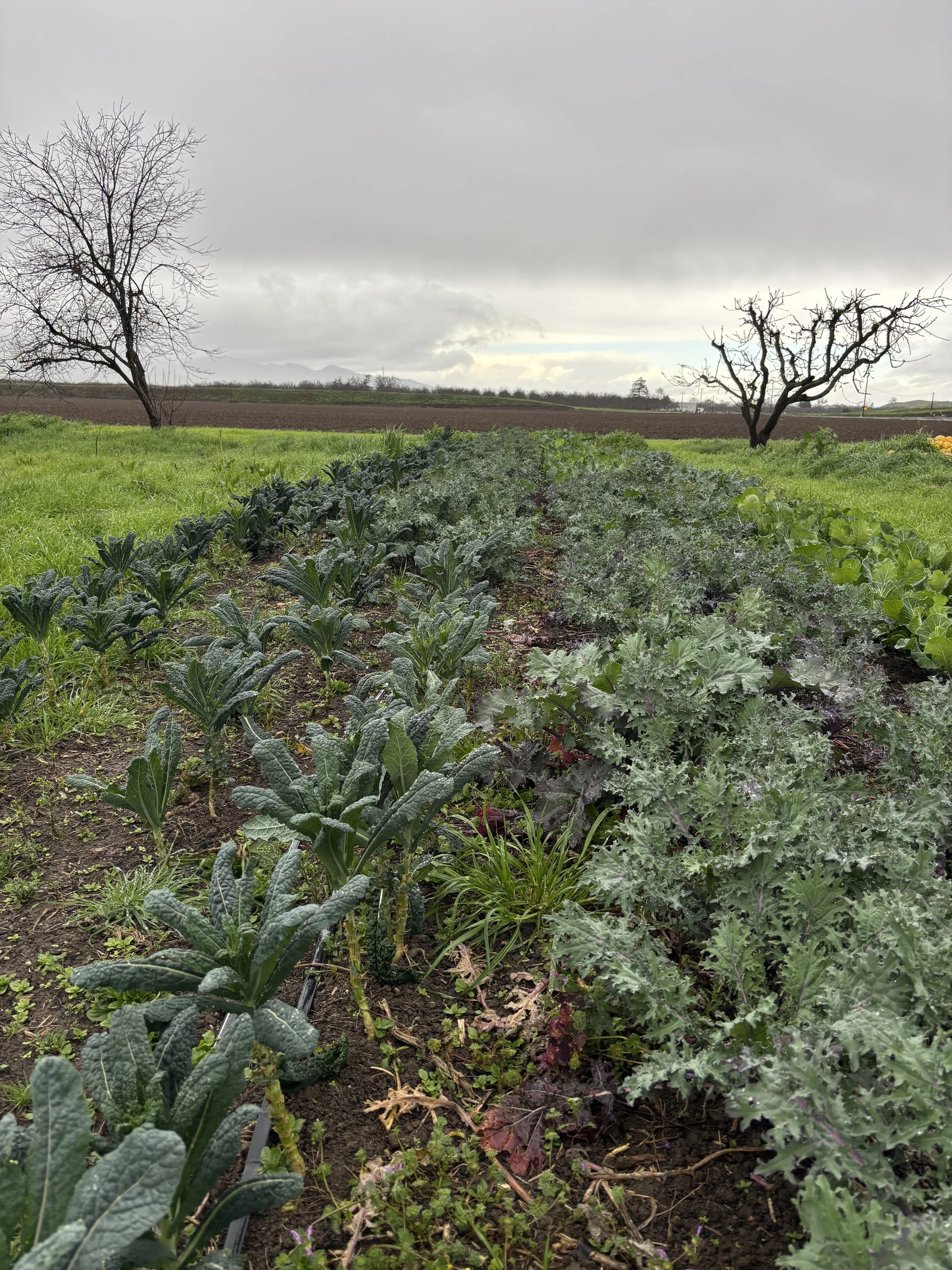 February rain keeps us out of the field