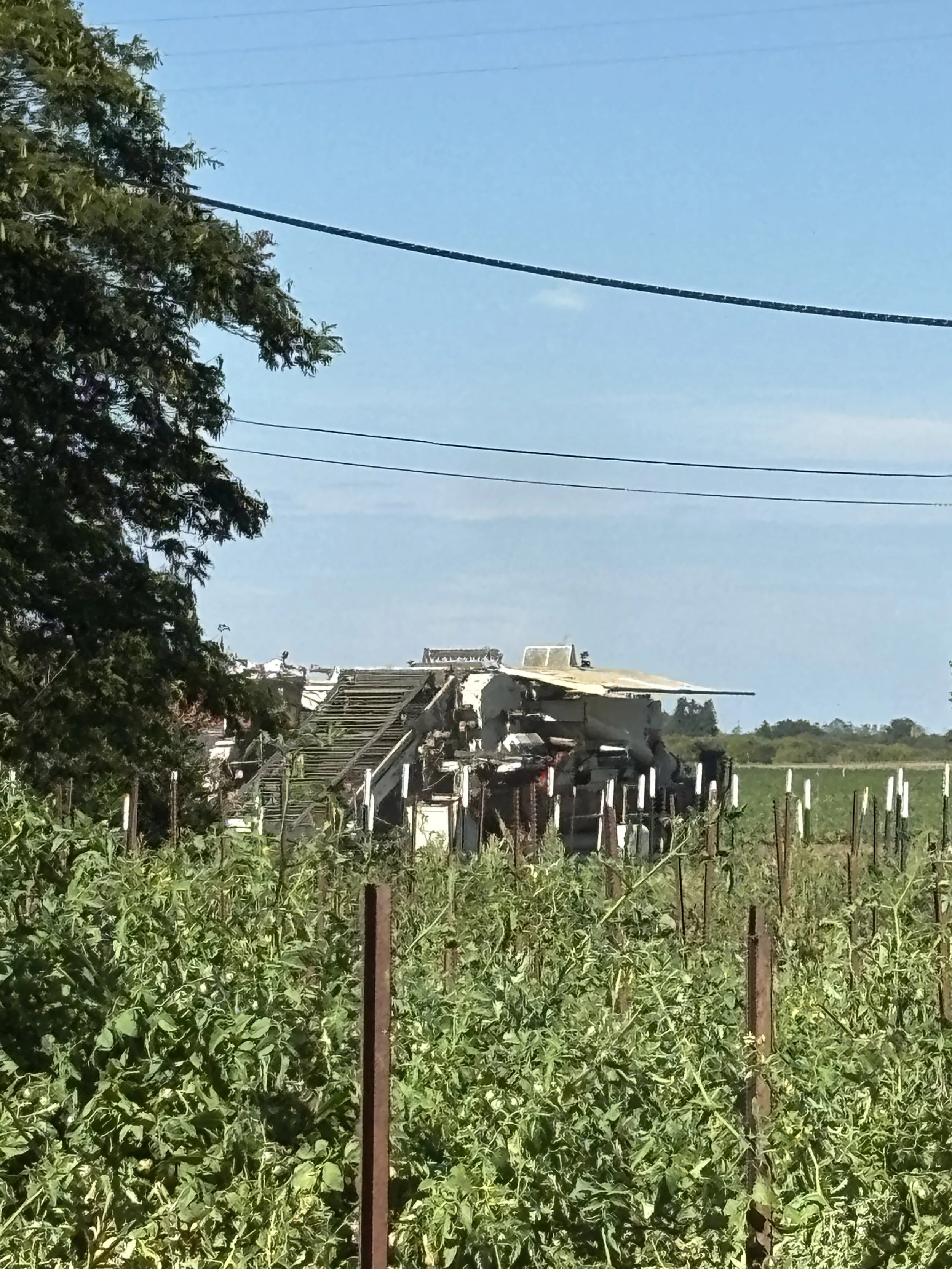 Busy times on and surrounding the farm
