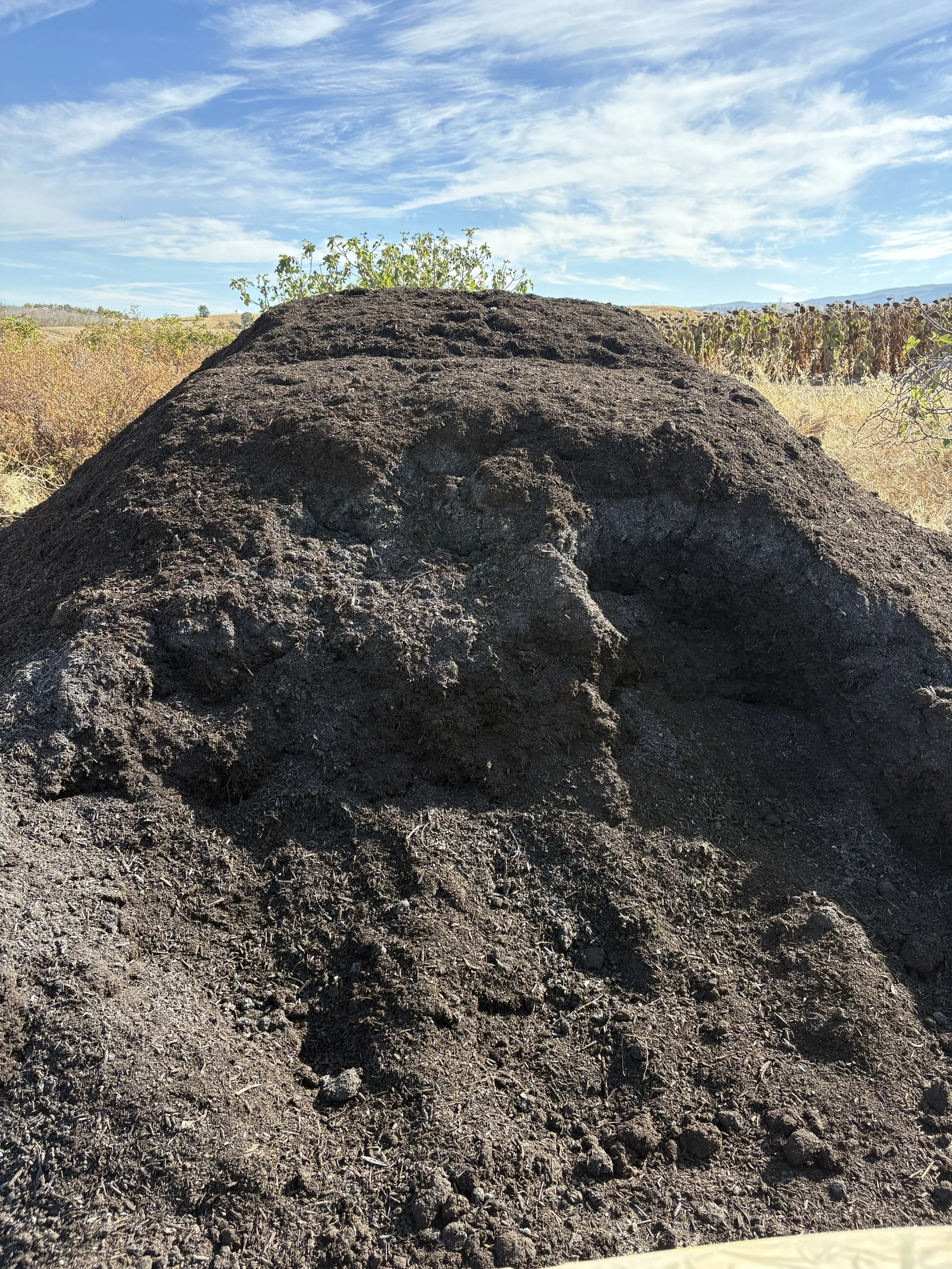 Caring for the soil through compost