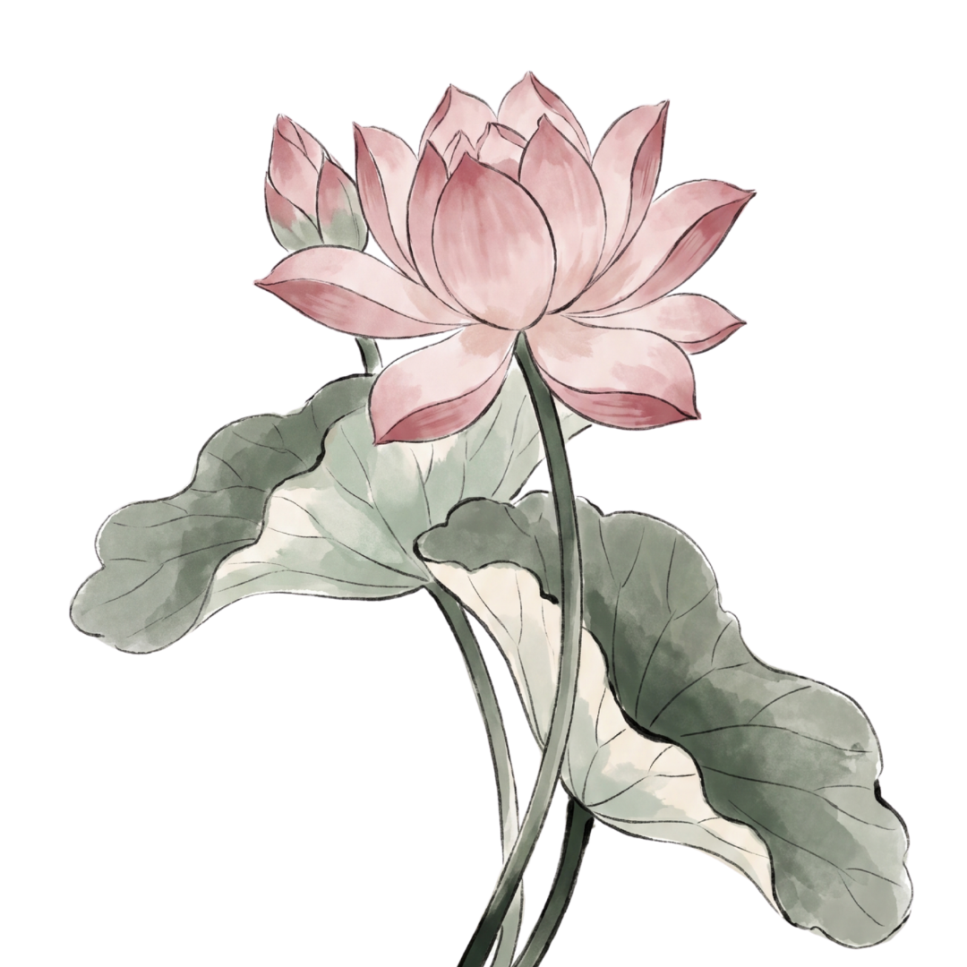 Spiritual Mentoring | An Alternative to Traditional Therapy — Lotus Rising