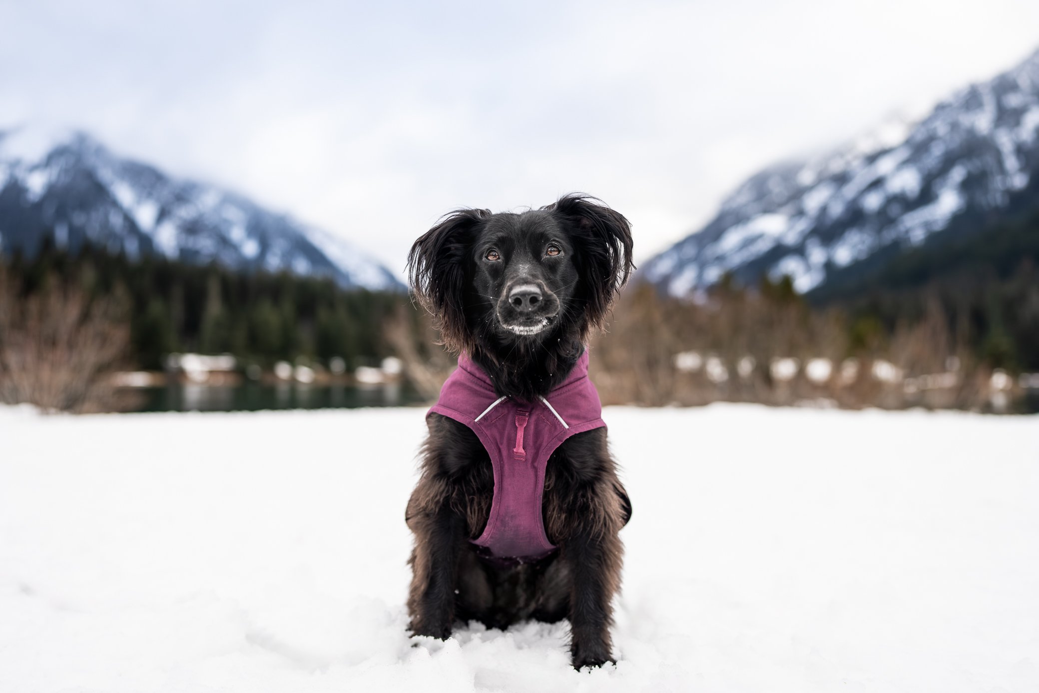 DSC07378-Edit-Edit.jpg