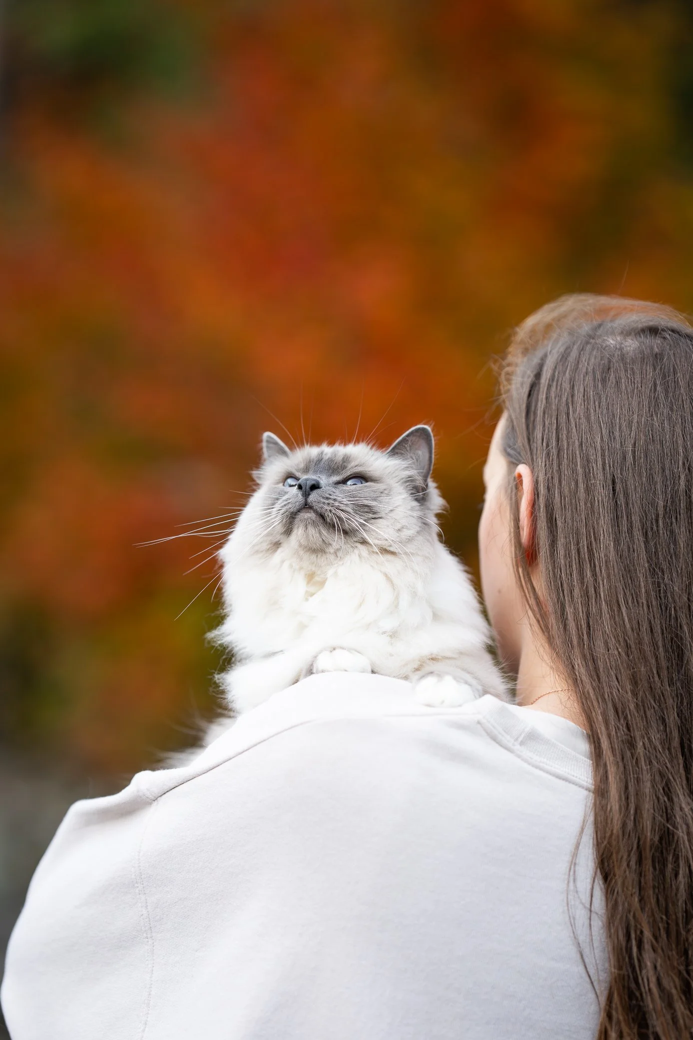 DSC00293.jpg