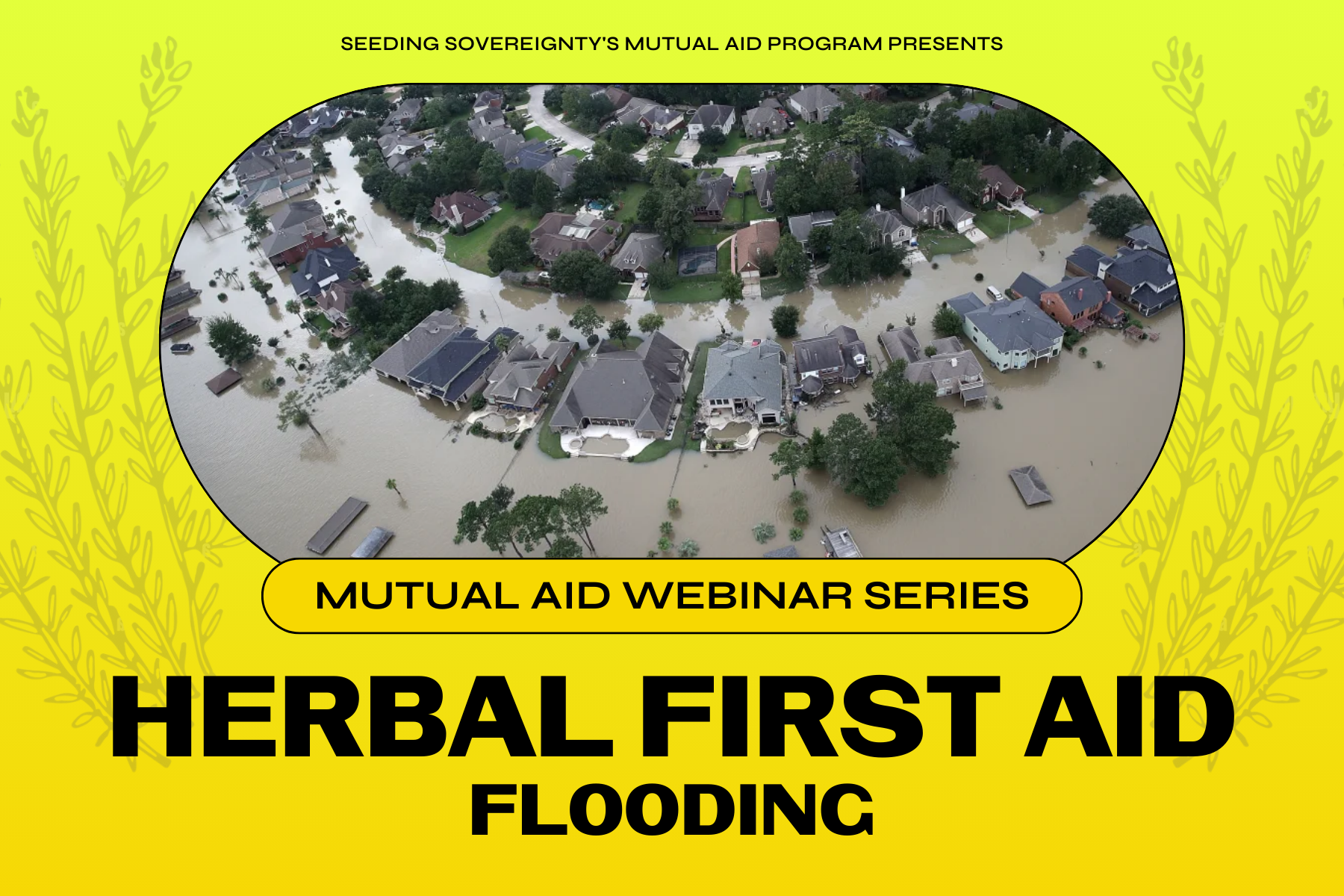 Herbal First Aid: Flooding