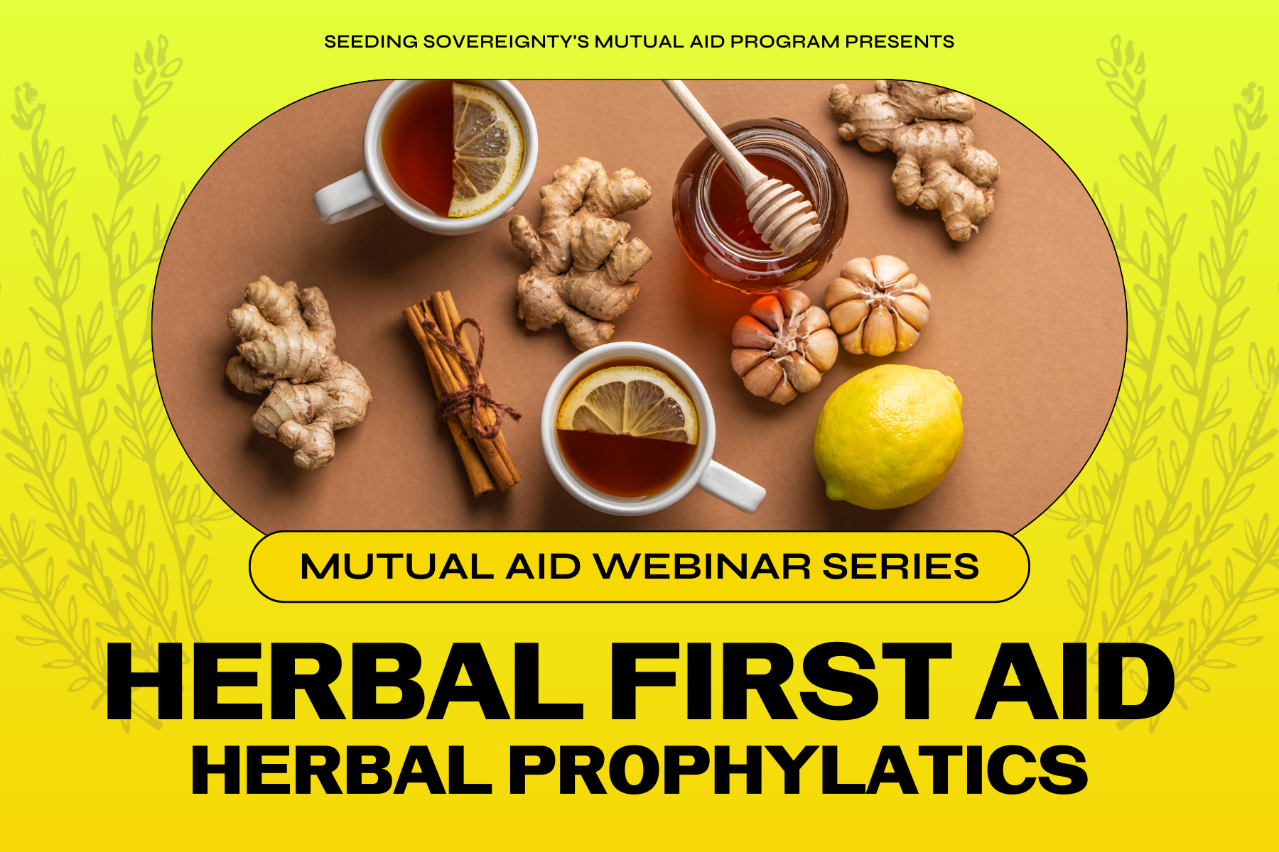 Herbal First Aid: Herbal Prophylactics